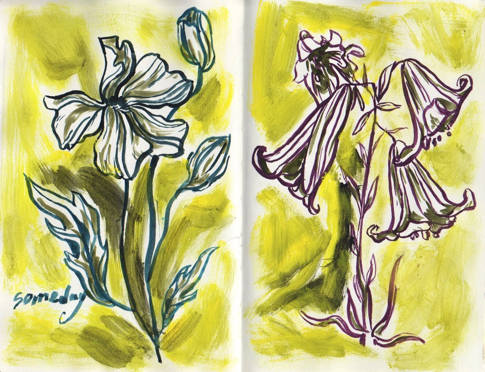 sketchbook 3.jpg