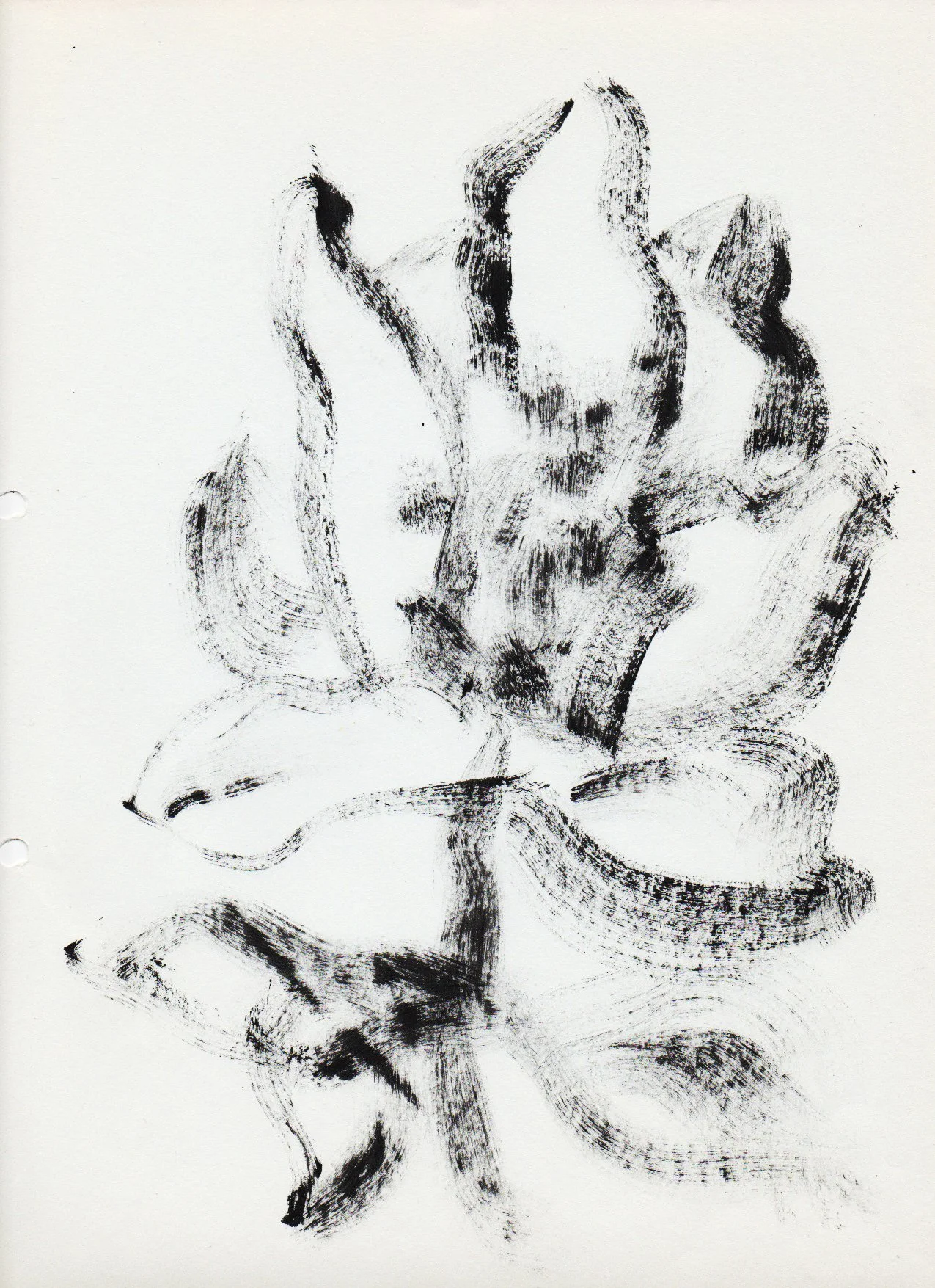 sketchbook 2 copy.jpeg