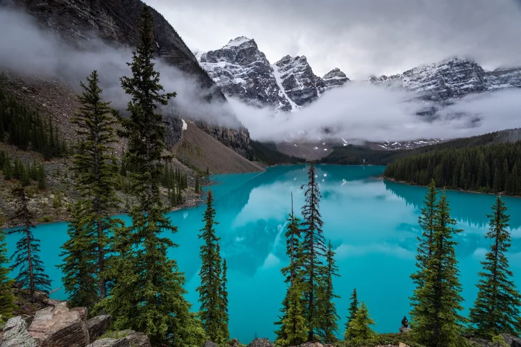 social-work-programs-in-ab-social-workers-association-of-alberta