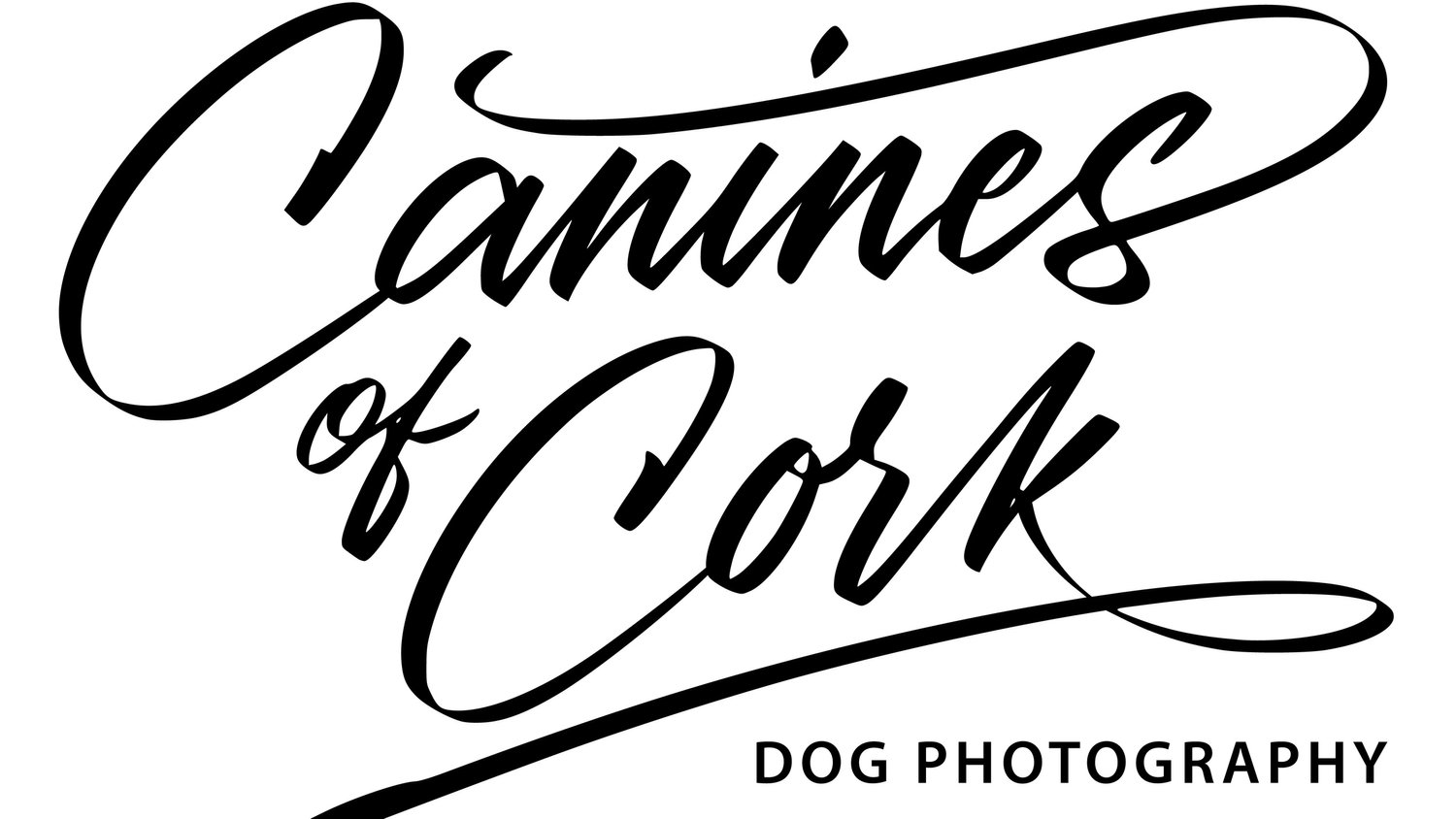 Canines of Cork