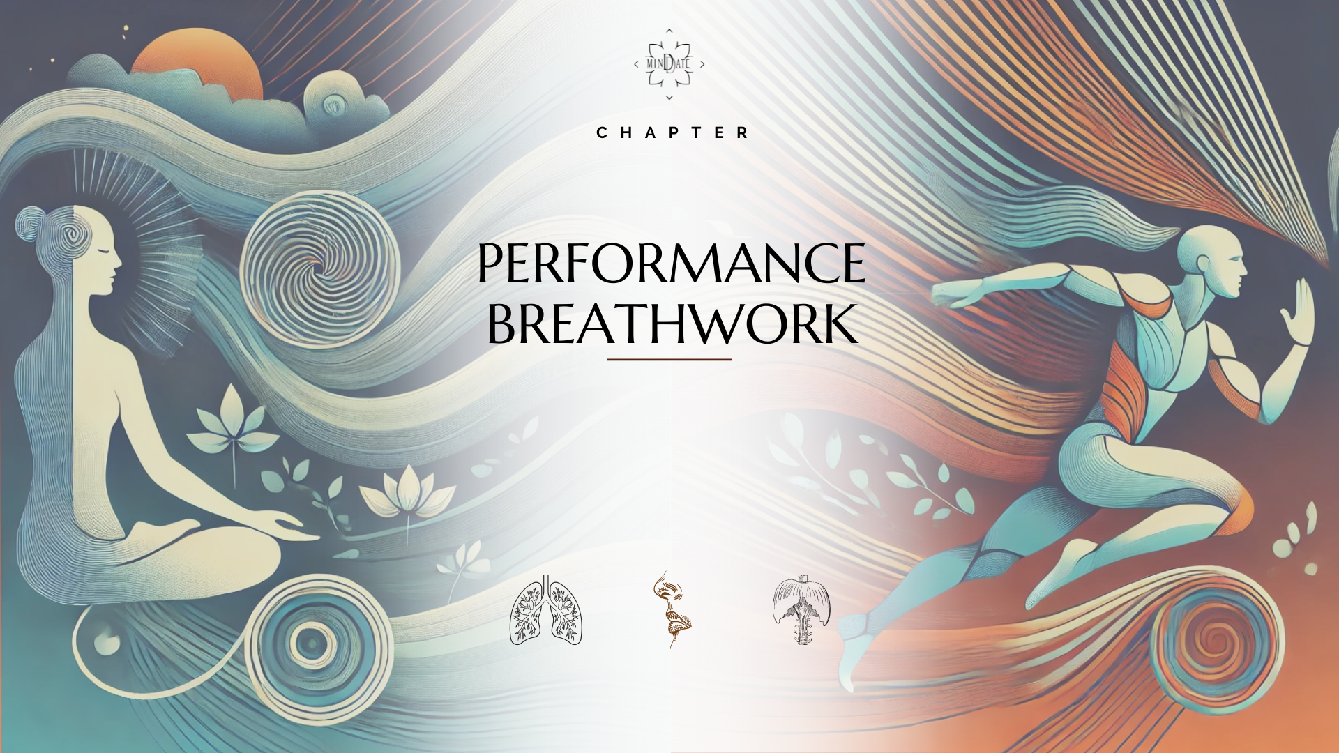 Cover performance.png