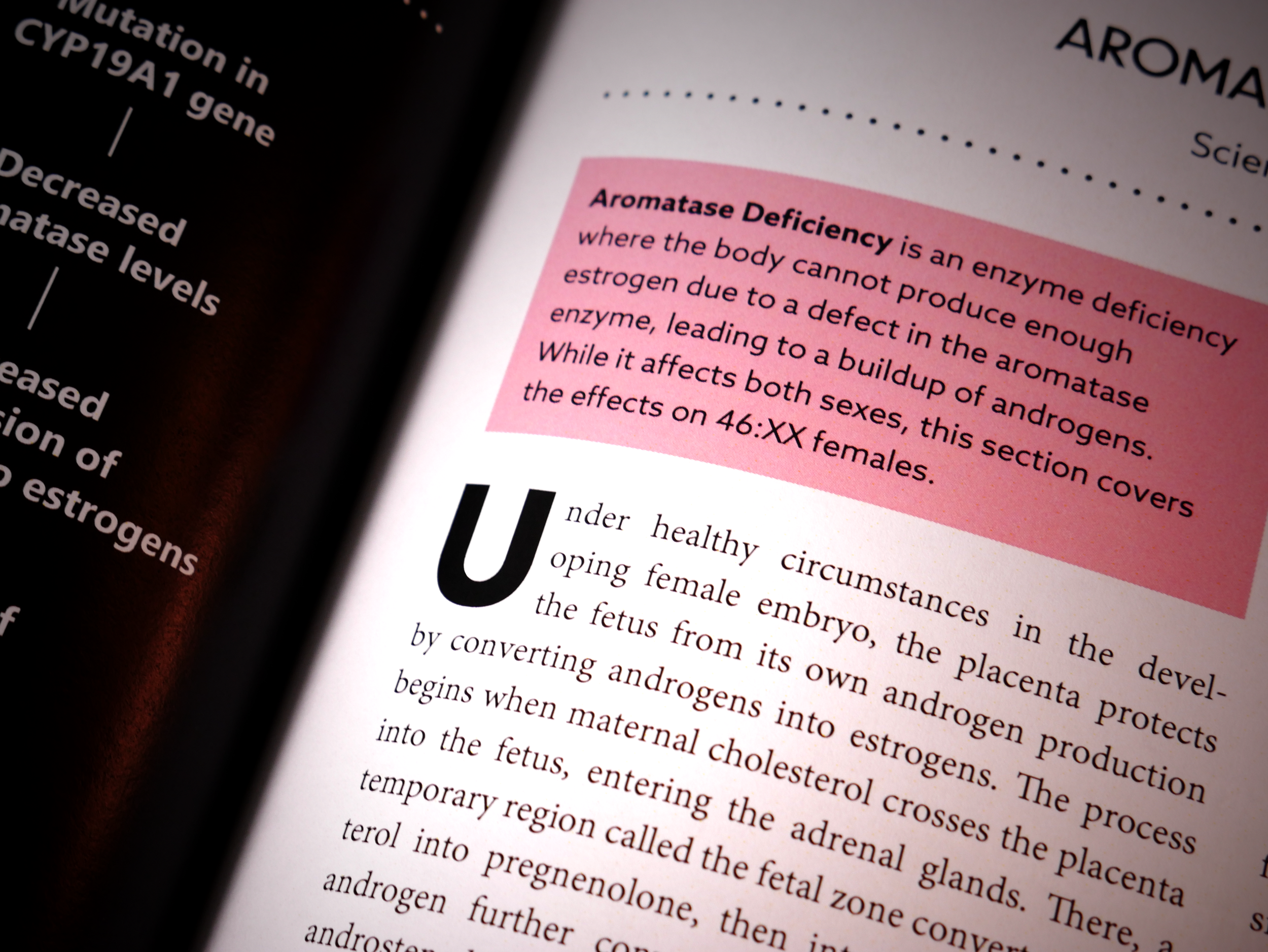 Close-up of summary box.png