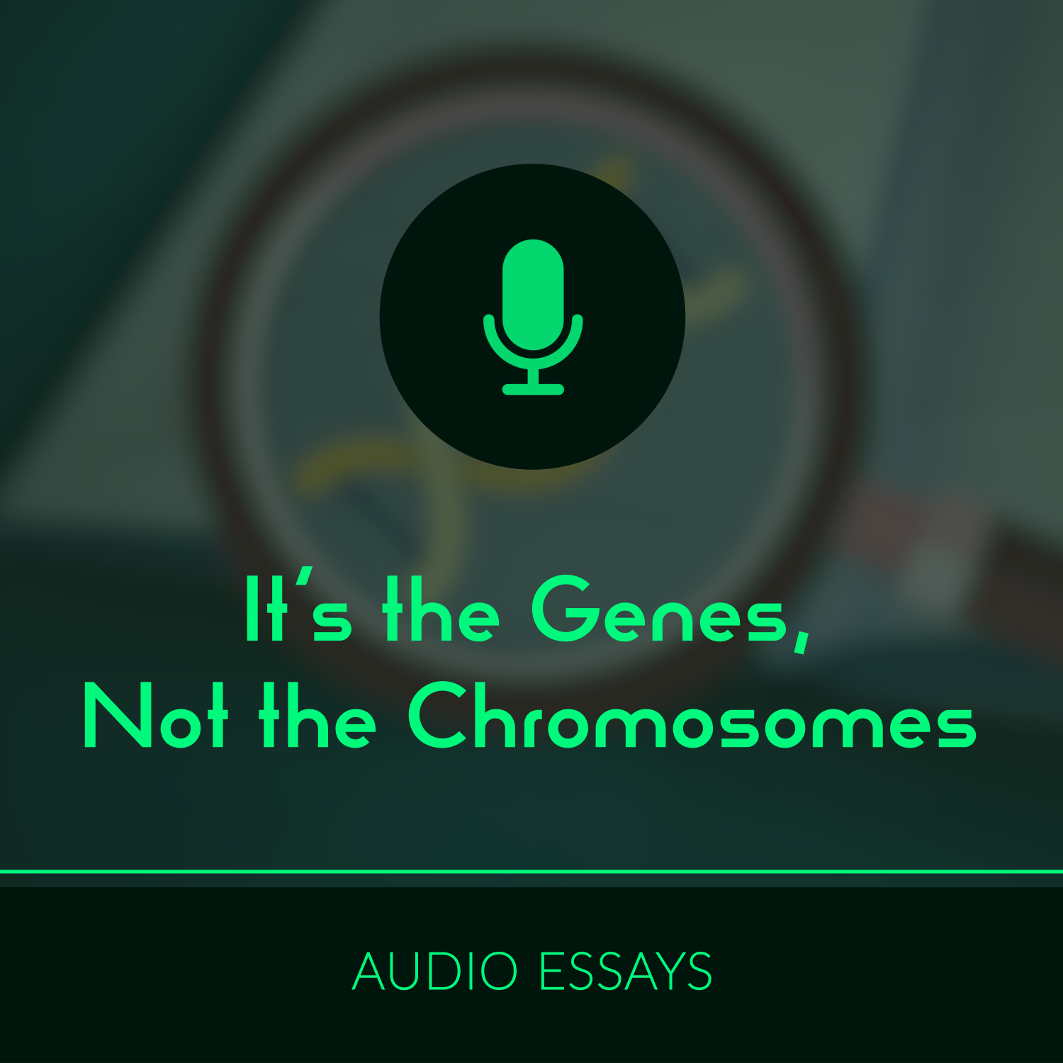 S1E6 - It's the Genes, Not the Chromosomes (Audio Essay).png