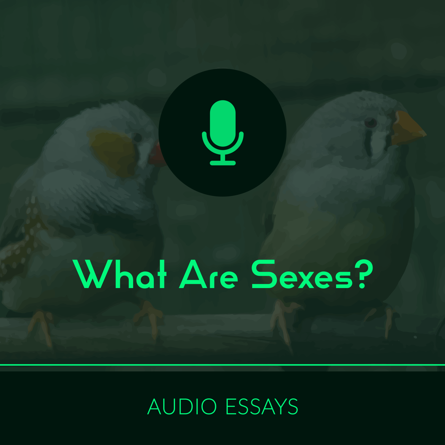 S1E3 - What Are Sexes.png