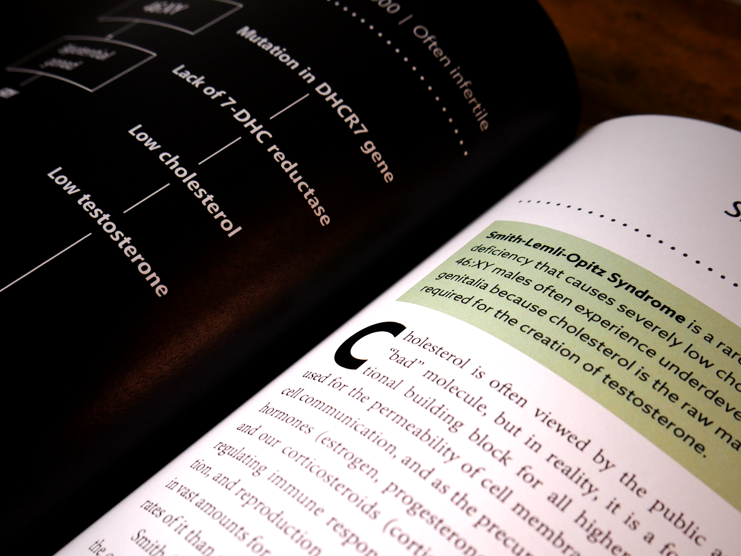 Close-up of summary box 2.png