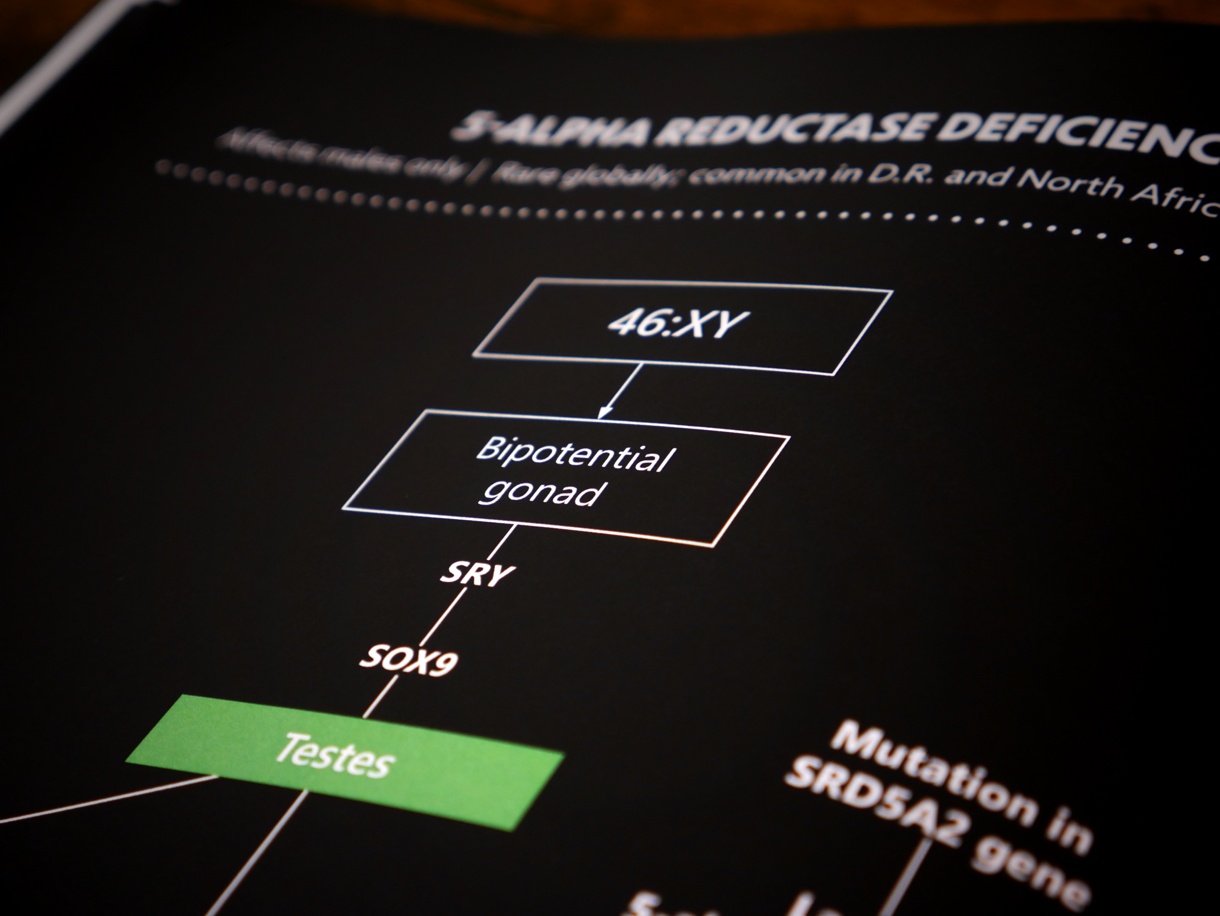 Close-up of diagram.png