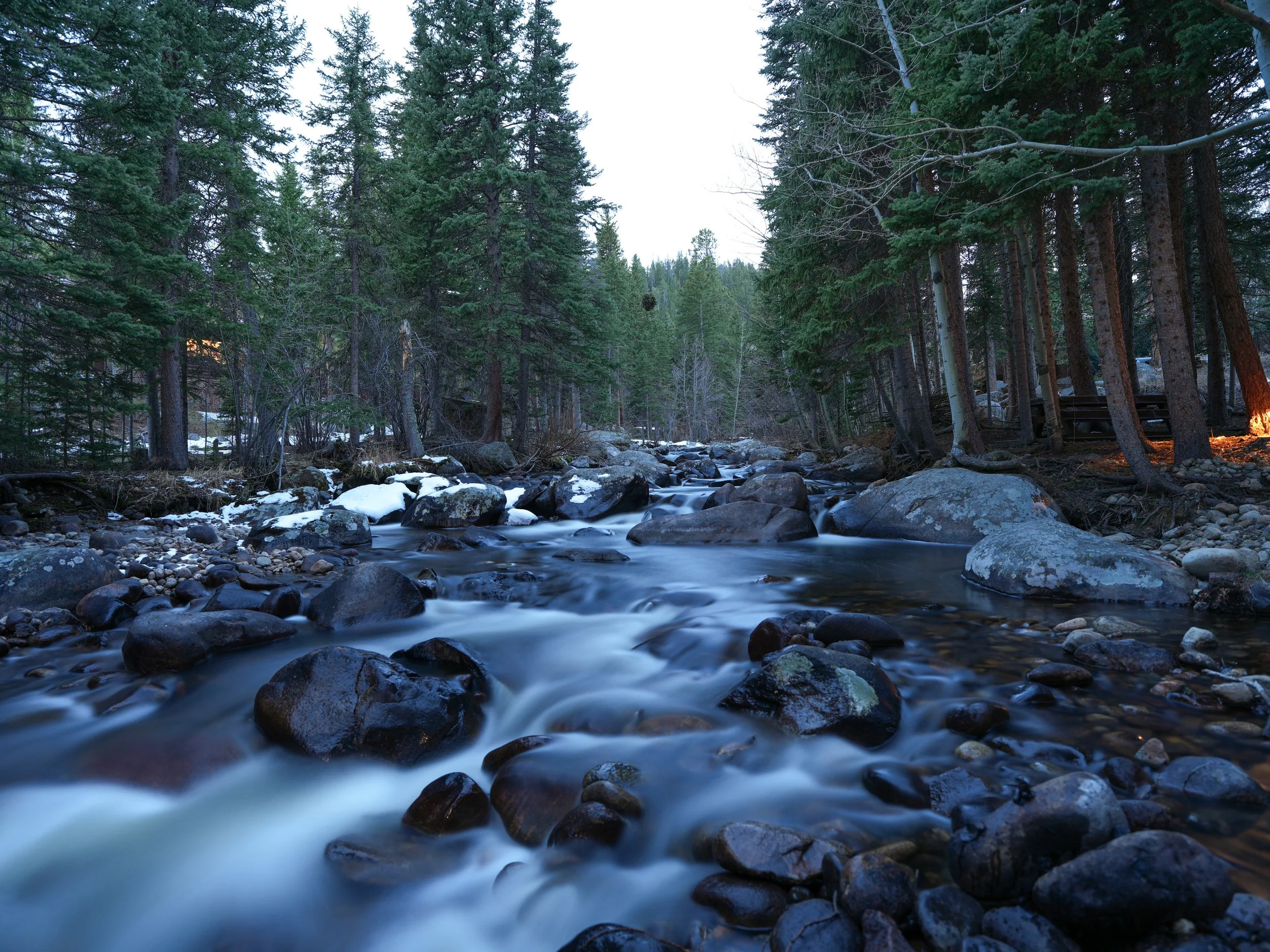 St. Vrain Creek flowing through the forested Colorado mountains