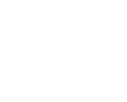 Julia Ramirez for 12th Ward