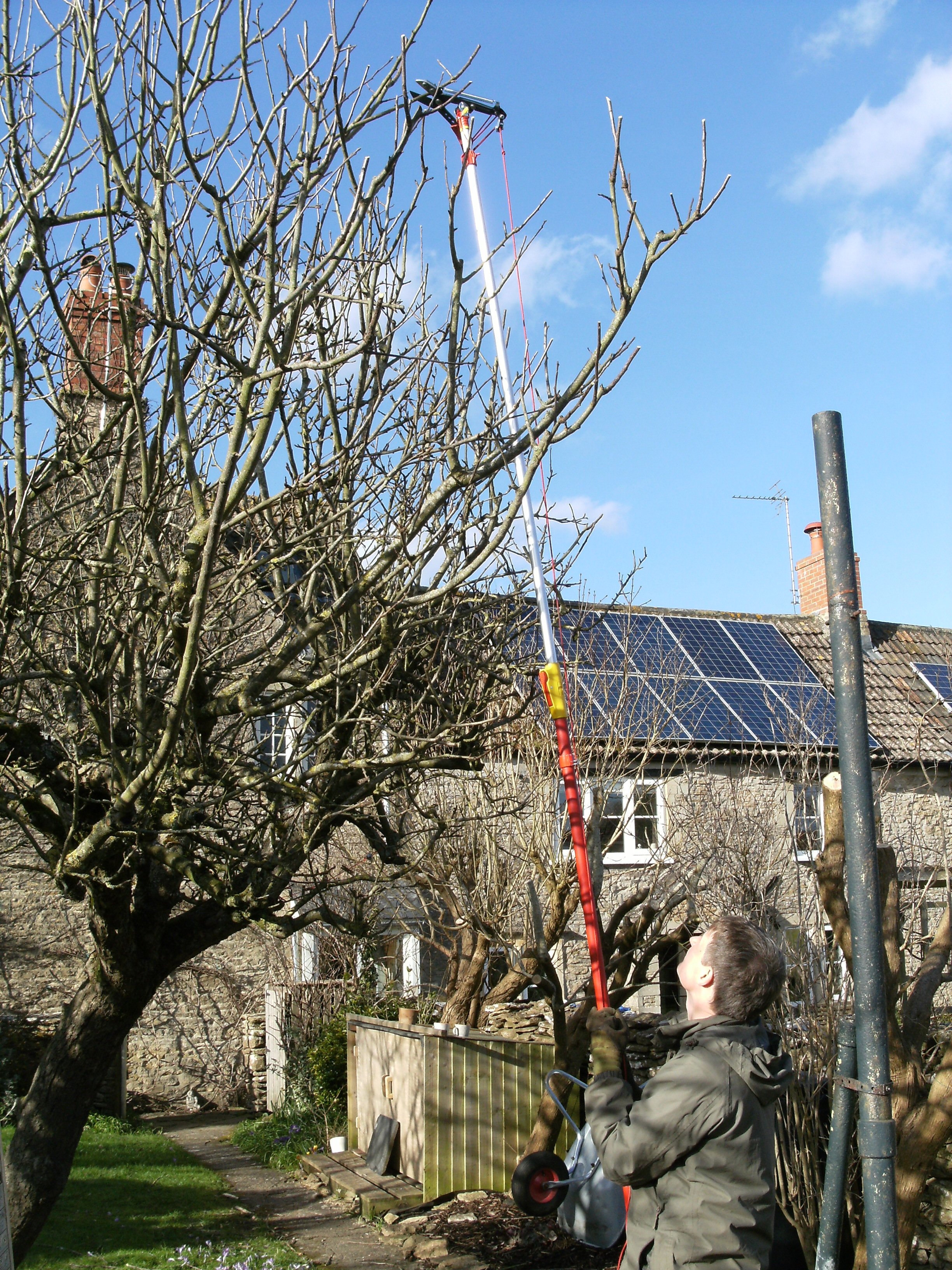 DSCF2454.jpg