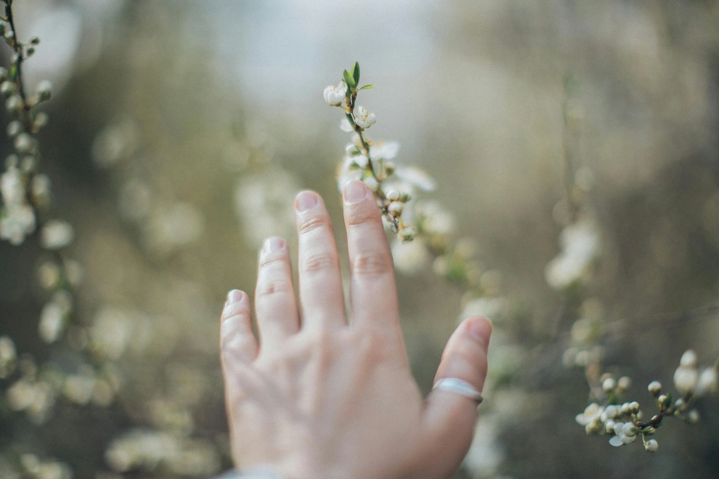 Hand reaching out to touch flowers