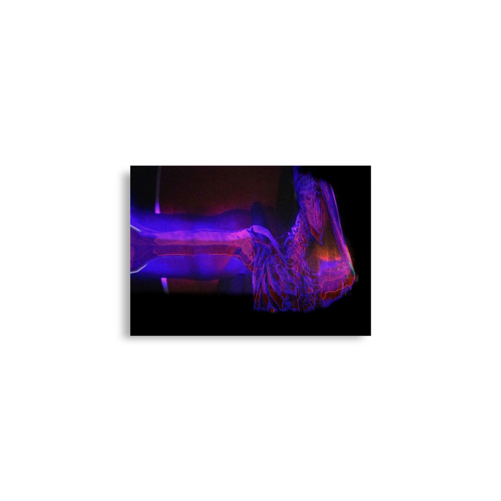 enhanced-matte-paper-poster-(in)-a2-(16.5x23.3)-front-67a24514e8207.jpg