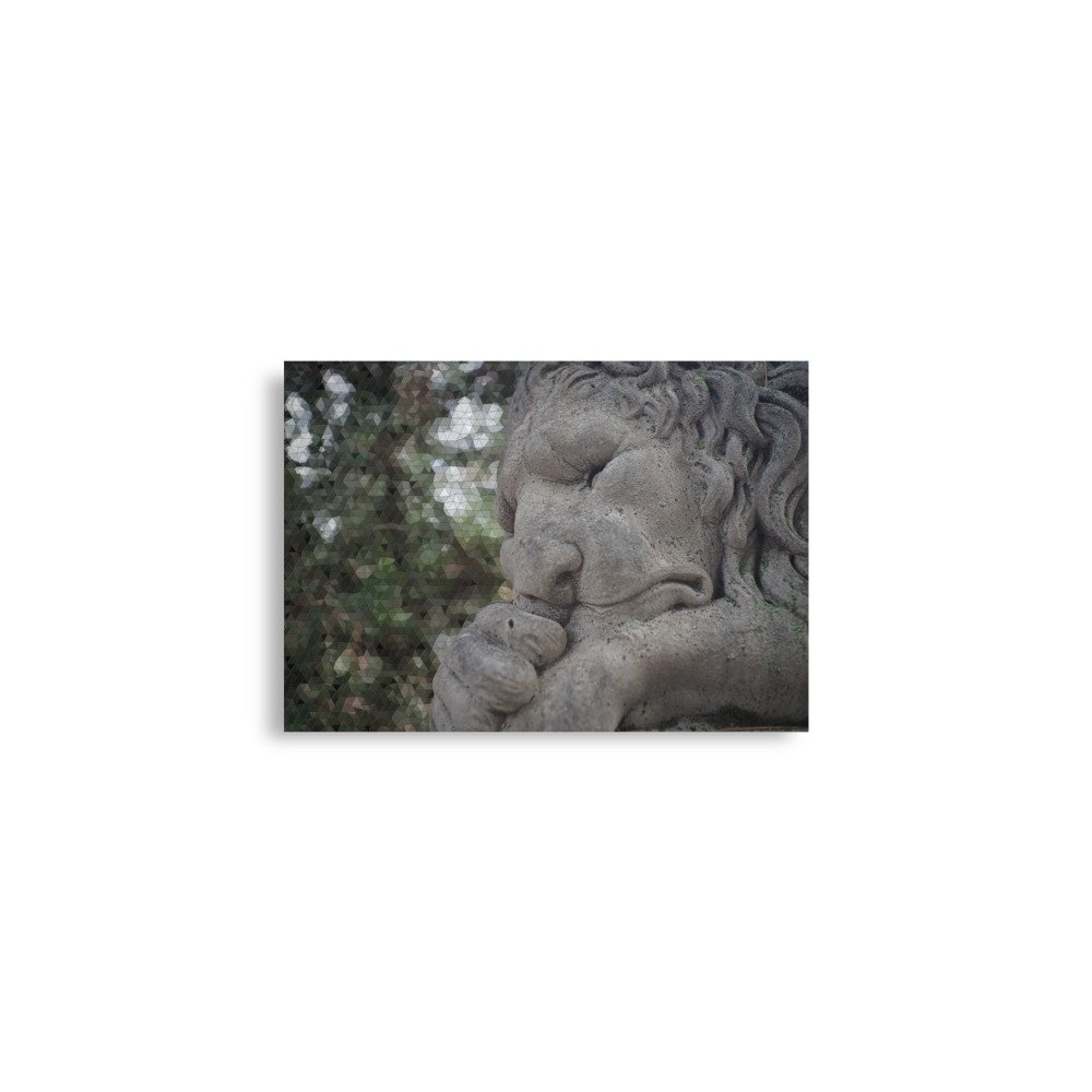 enhanced-matte-paper-poster-(in)-a2-(16.5x23.3)-front-67a2456e09be5.jpg