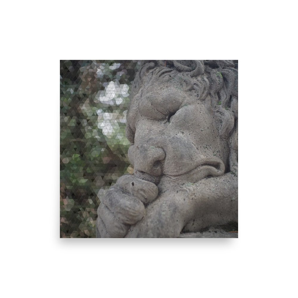 enhanced-matte-paper-poster-(in)-10x10-front-67a2456e09c36.jpg