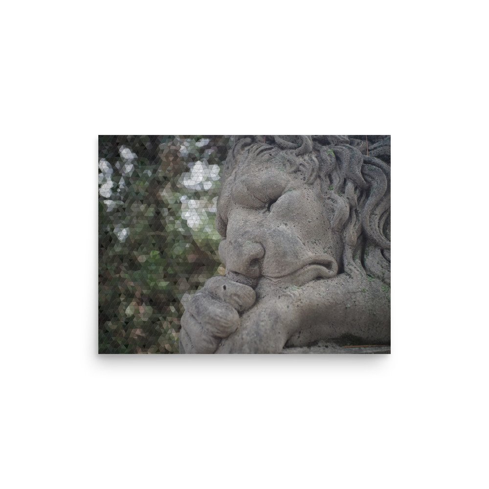 enhanced-matte-paper-poster-(in)-12x16-front-67a2456e09e3c.jpg