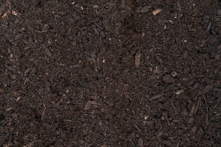 composted-bark-opt.jpg