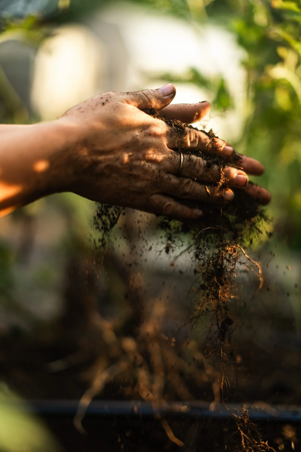 garden-soil-roots-detail-brand-photography.jpg