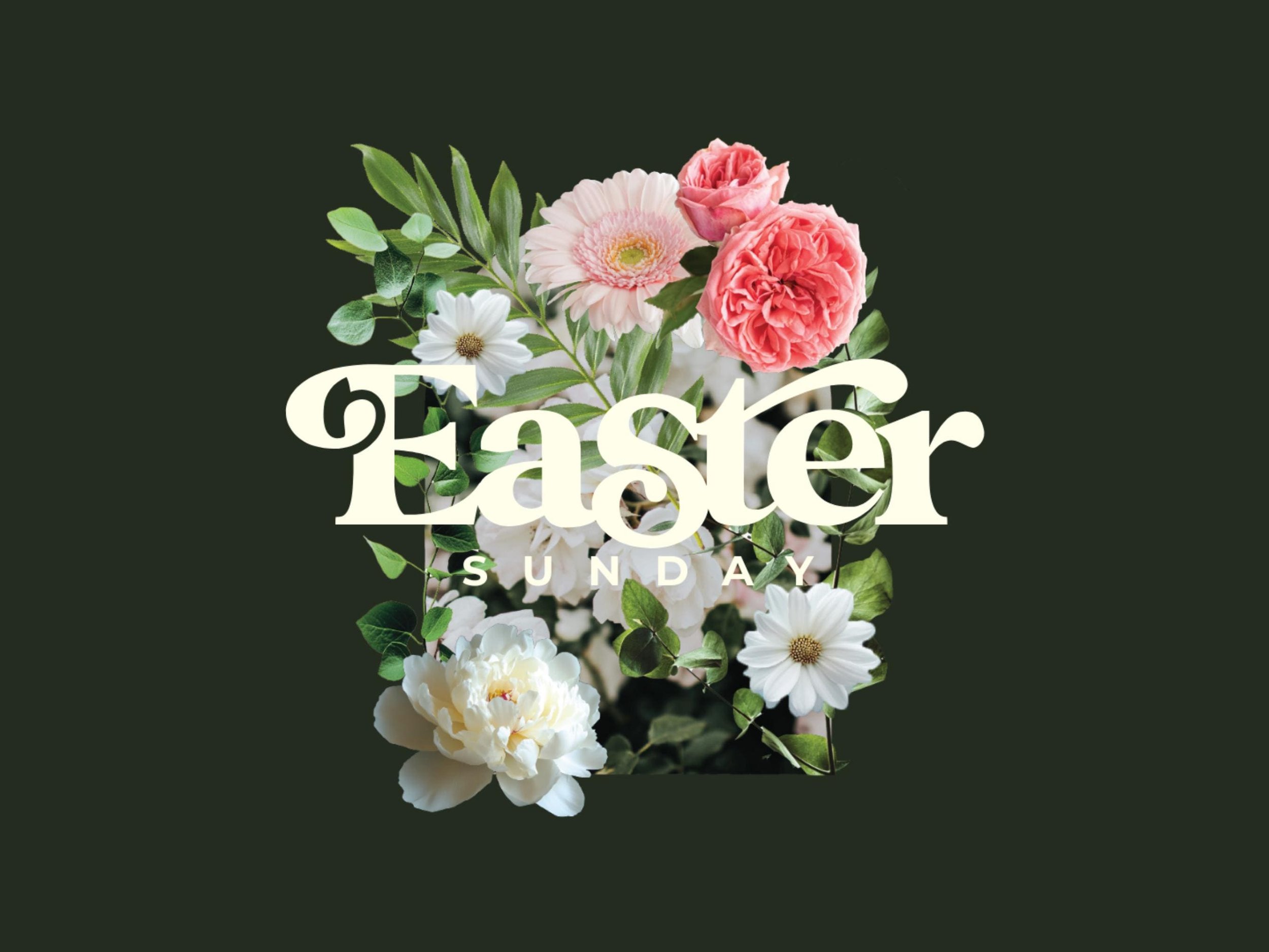 https://i.etsystatic.com/10552216/r/il/62c703/6779514350/il_fullxfull.6779514350_ycal.jpg