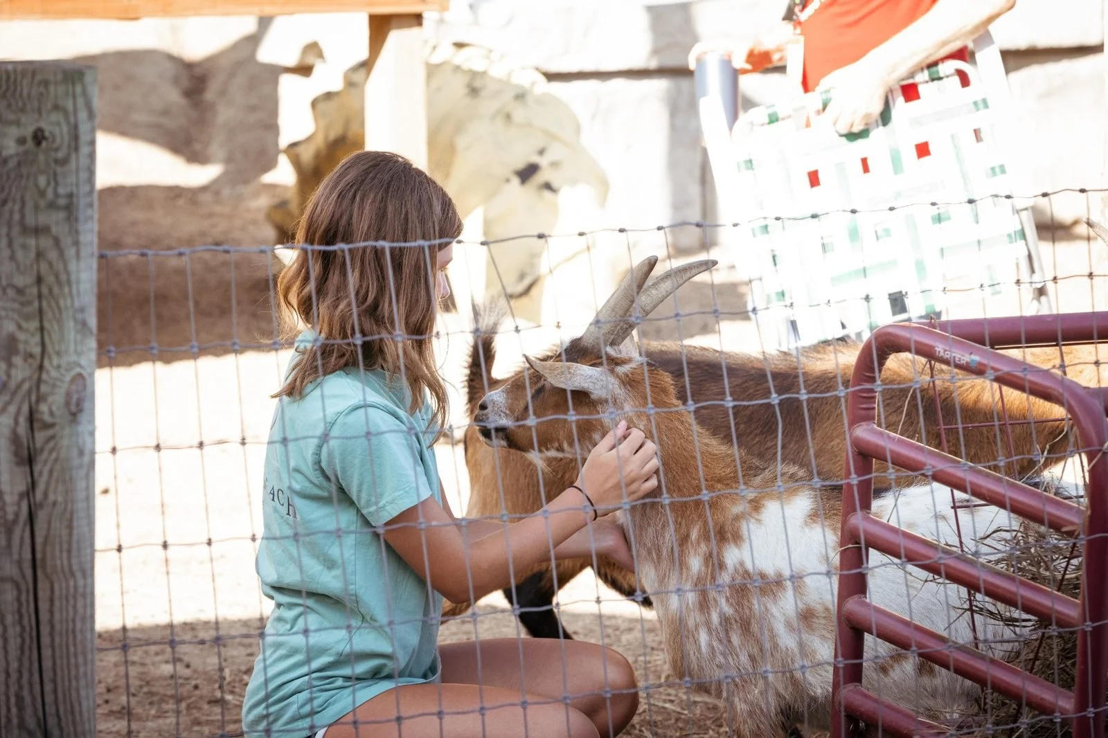 joy-meadows-second-saturday-june-2026-girl-petting-goat.jpg