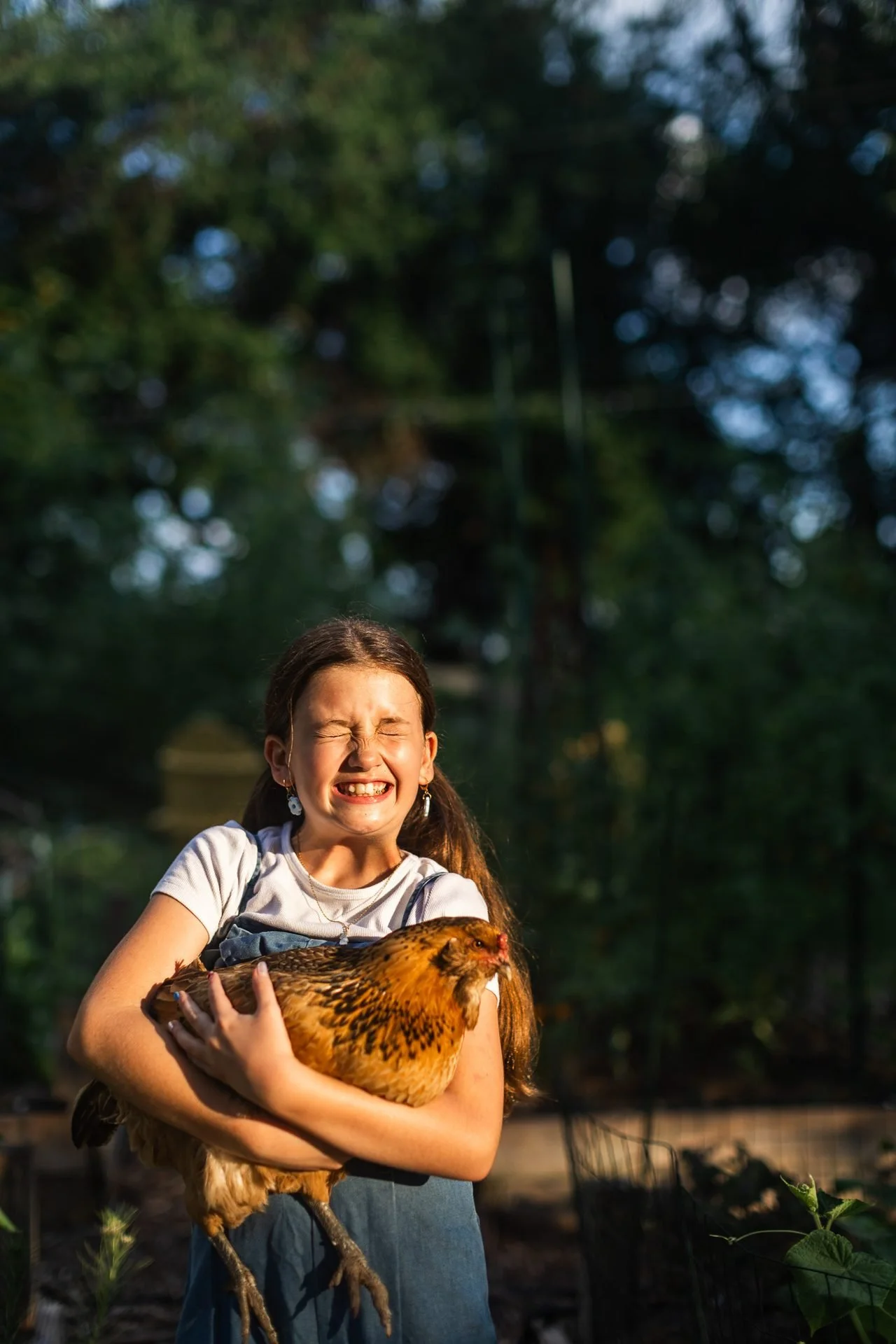 backyard-chicken-portrait-family-brand-photography-kck.jpg