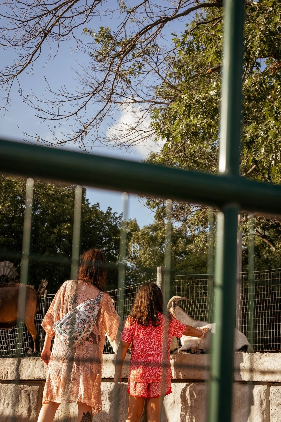 joy-meadows-second-saturday-july-2026-child-petting-goat.jpg