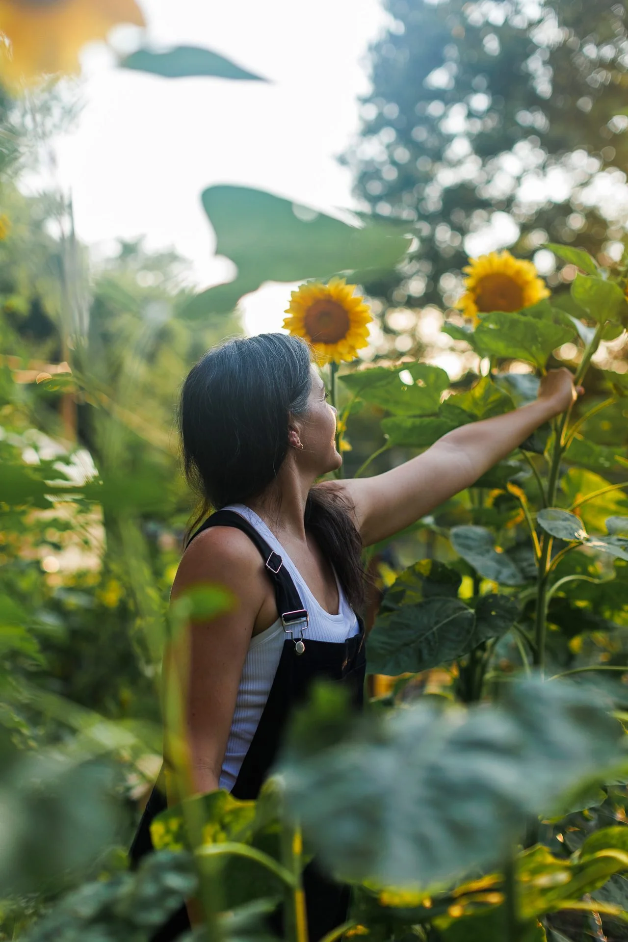 sunflower-harvest-lifestyle-brand-photography-kansas-city.jpg