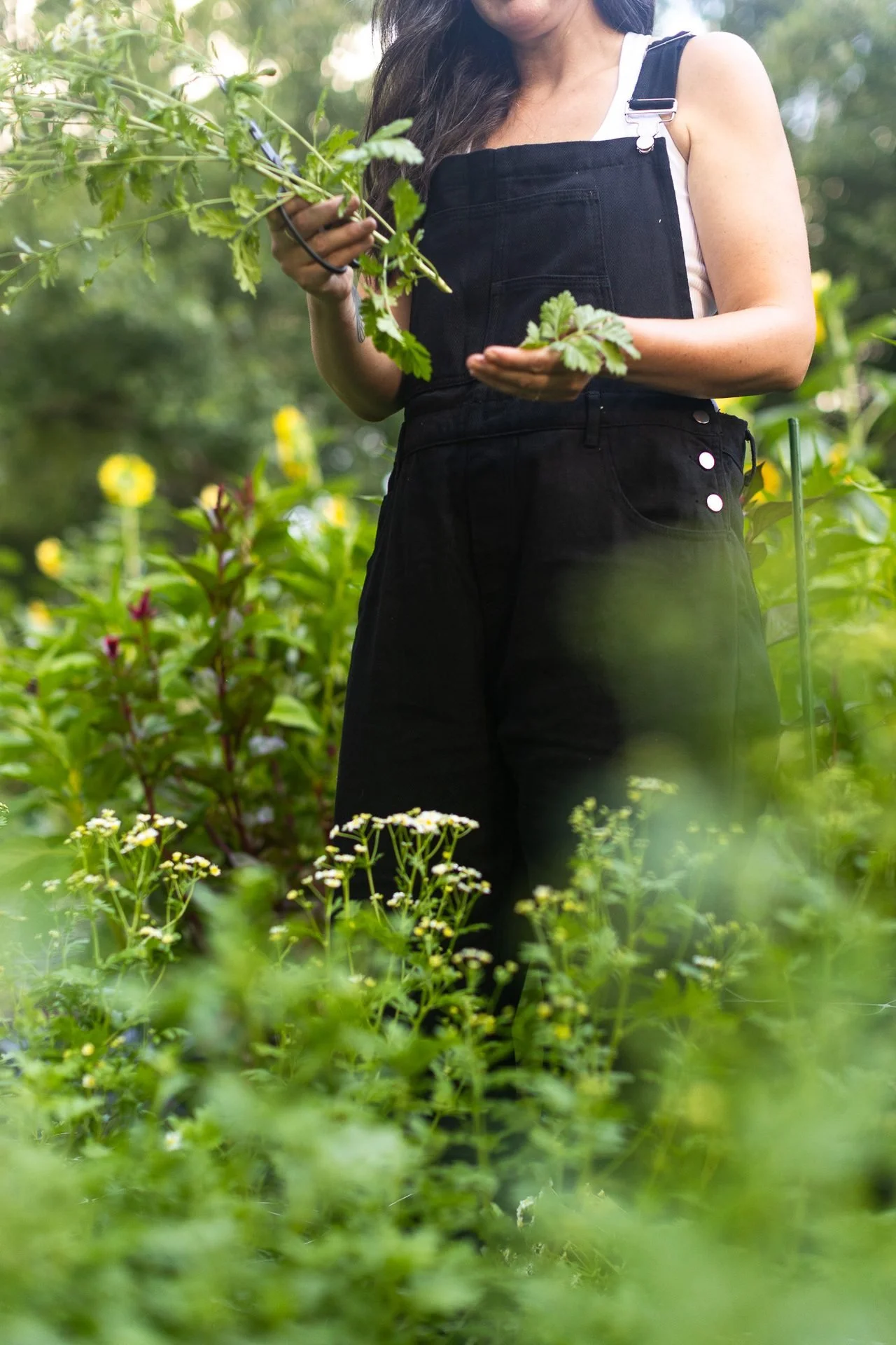garden-harvest-candid-brand-photography-kck.jpg