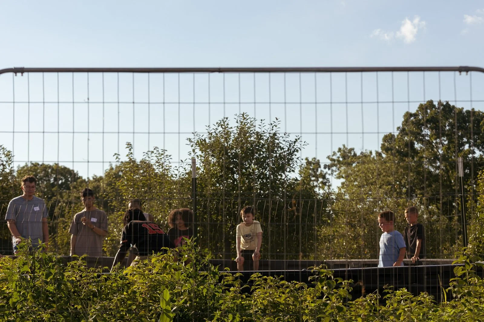 joy-meadows-second-saturday-july-2026-group-near-animal-area.jpg