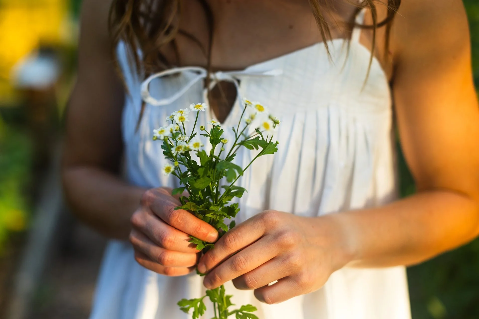 feverfew-posy-detail-brand-photography-kansas-city.jpg