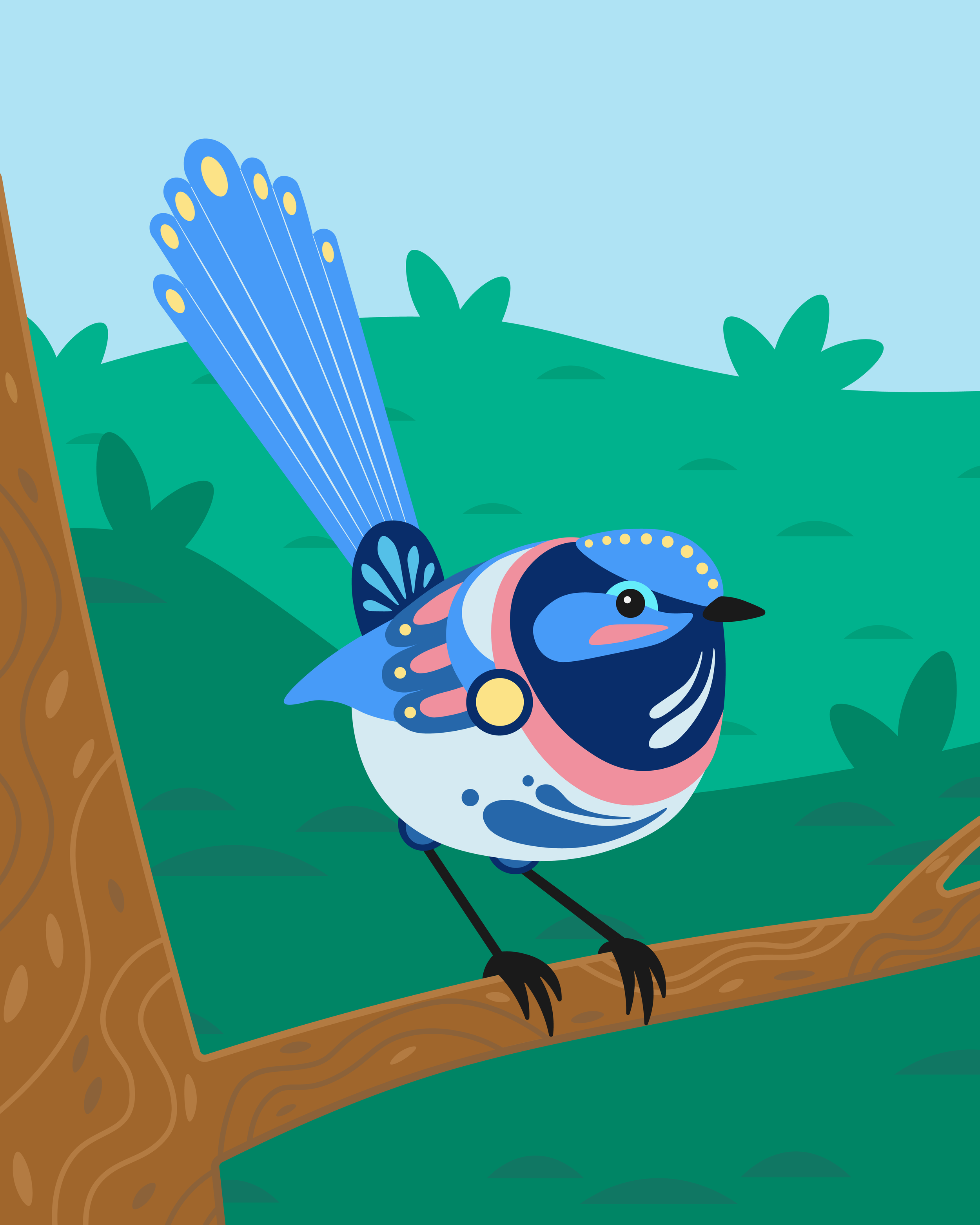 Fairy Wren FINAL.png