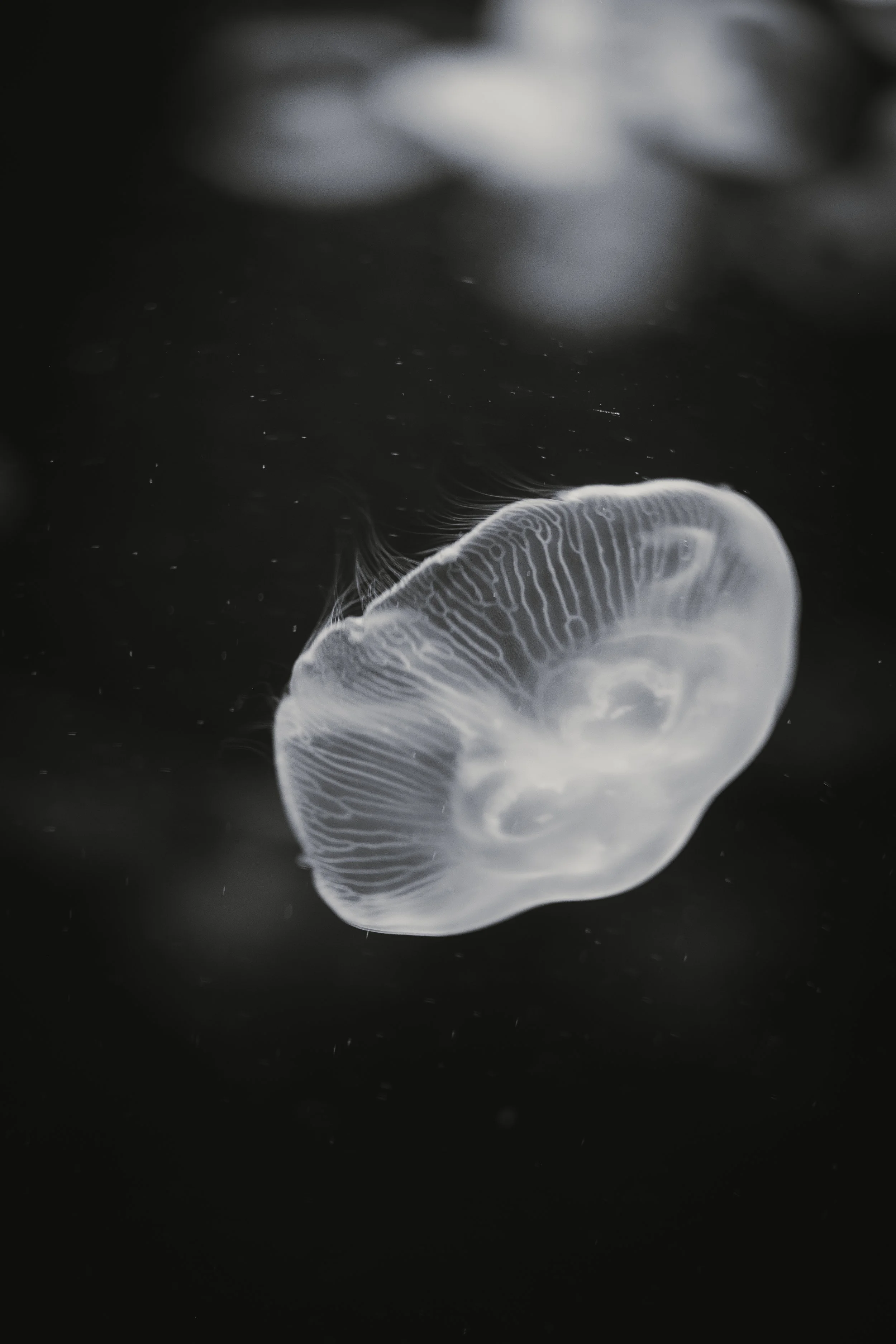 DSCF4914.jpg