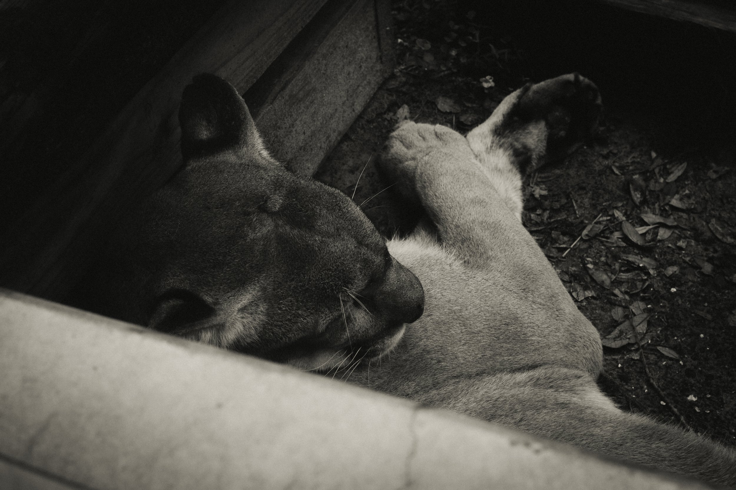 DSCF4963.jpg