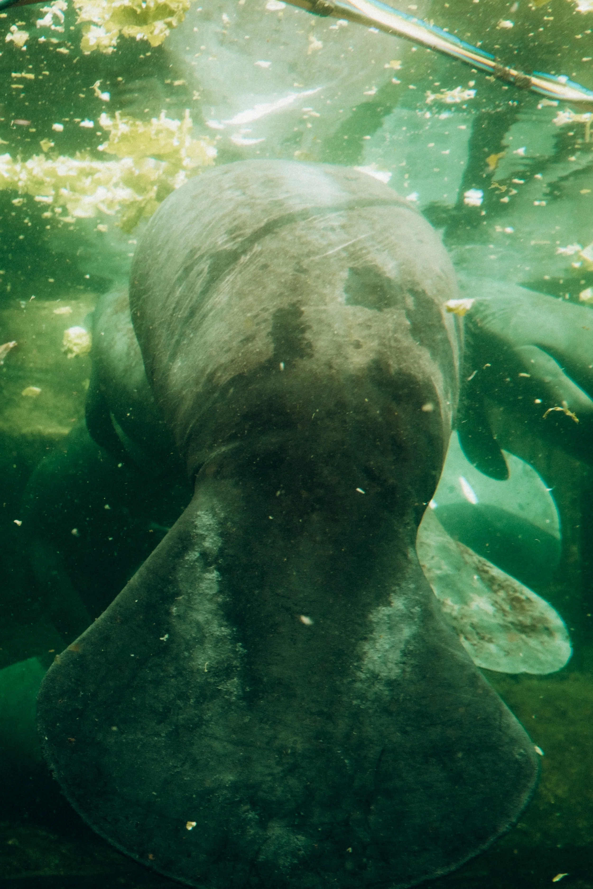 DSCF4853.jpg