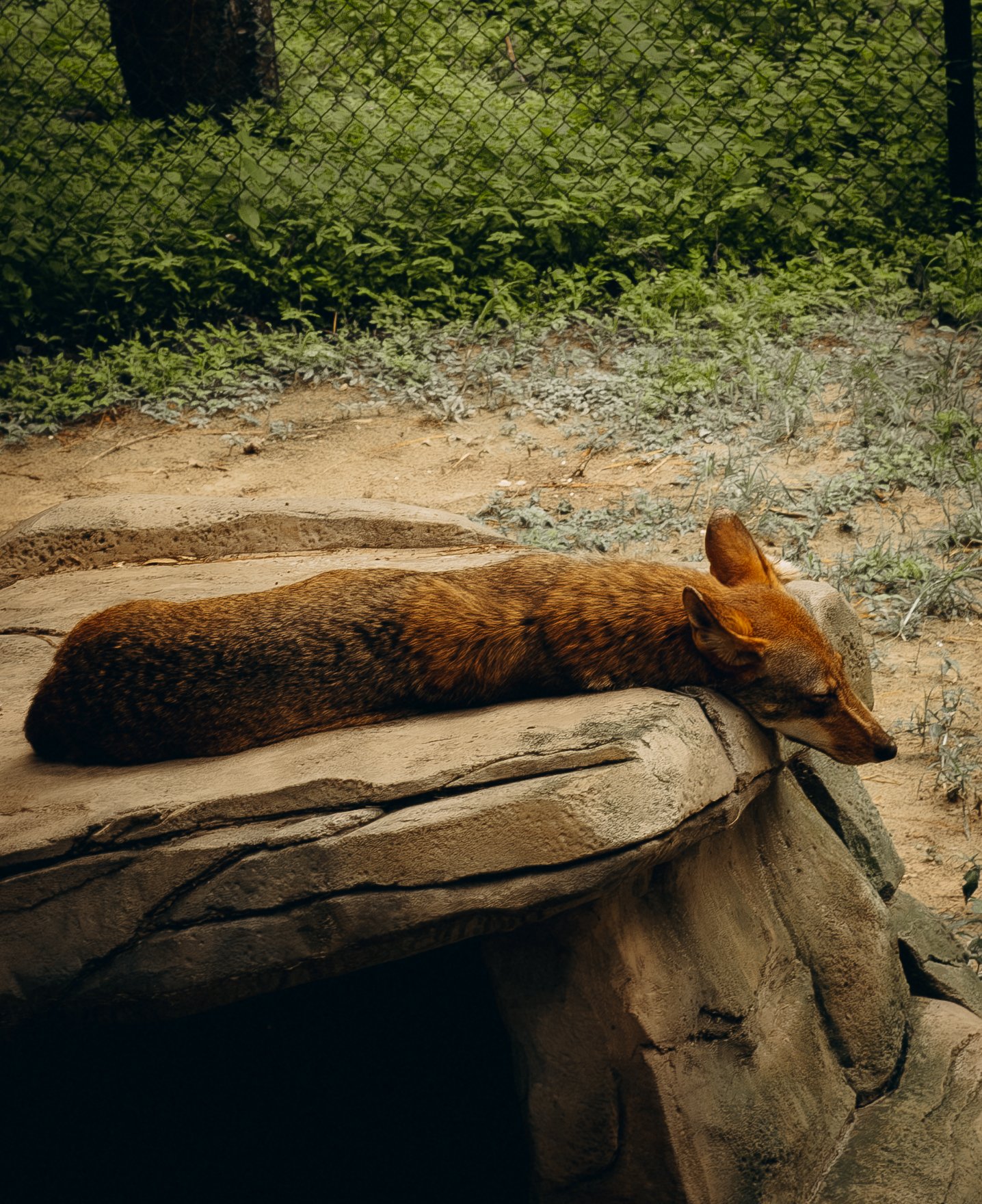 DSCF5277.jpg