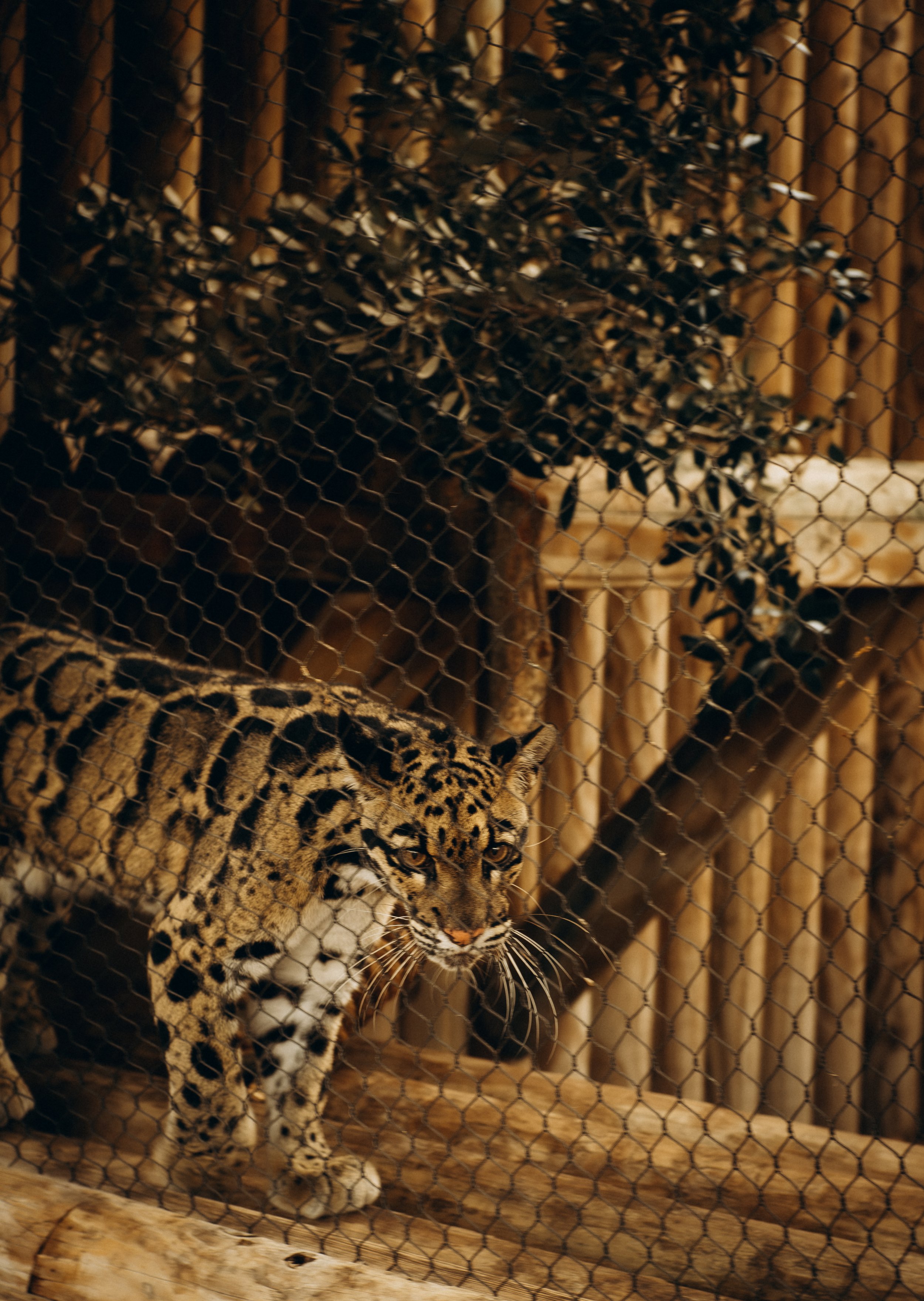 DSCF5117.jpg