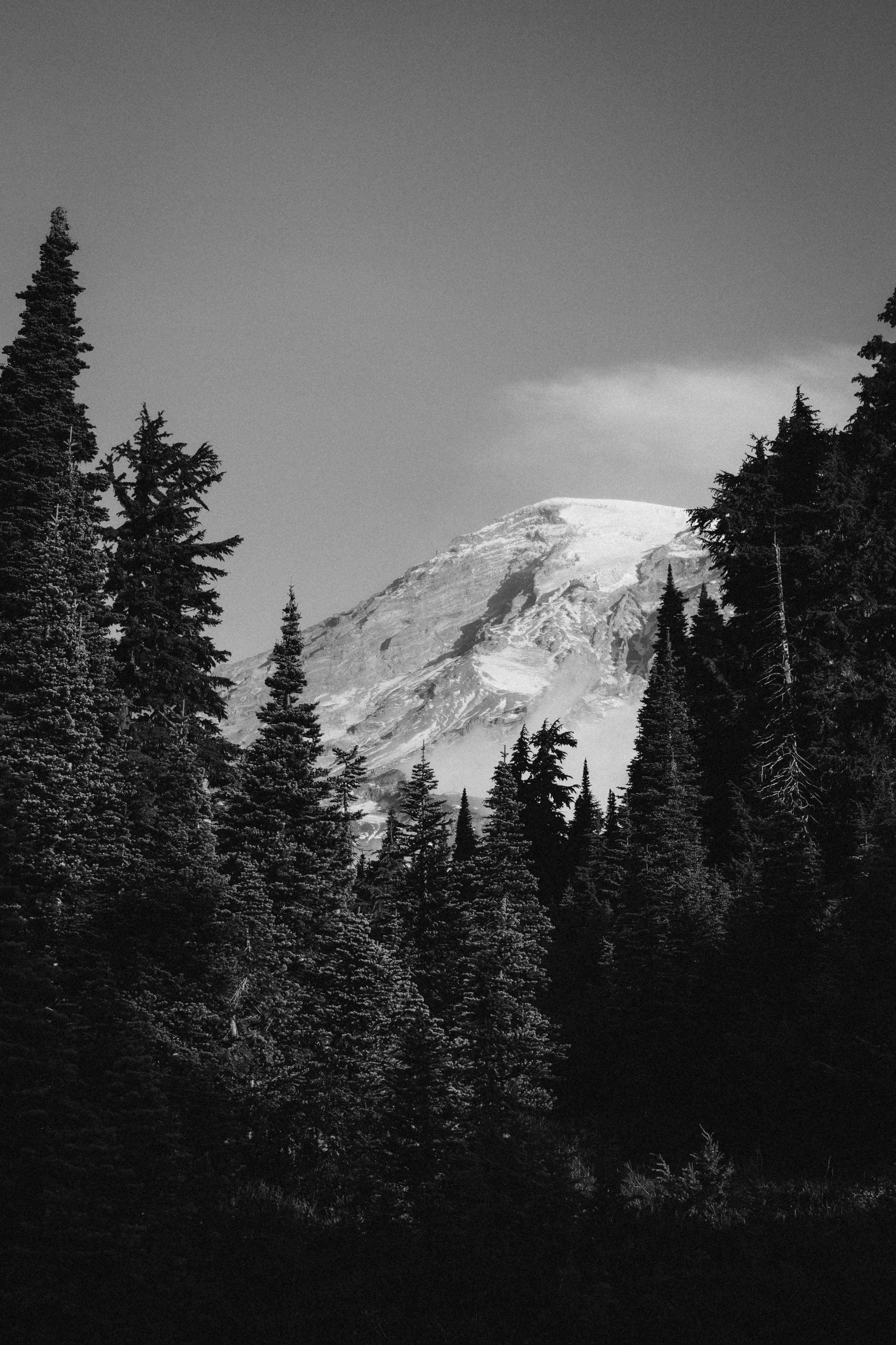 IMG_5724.jpg