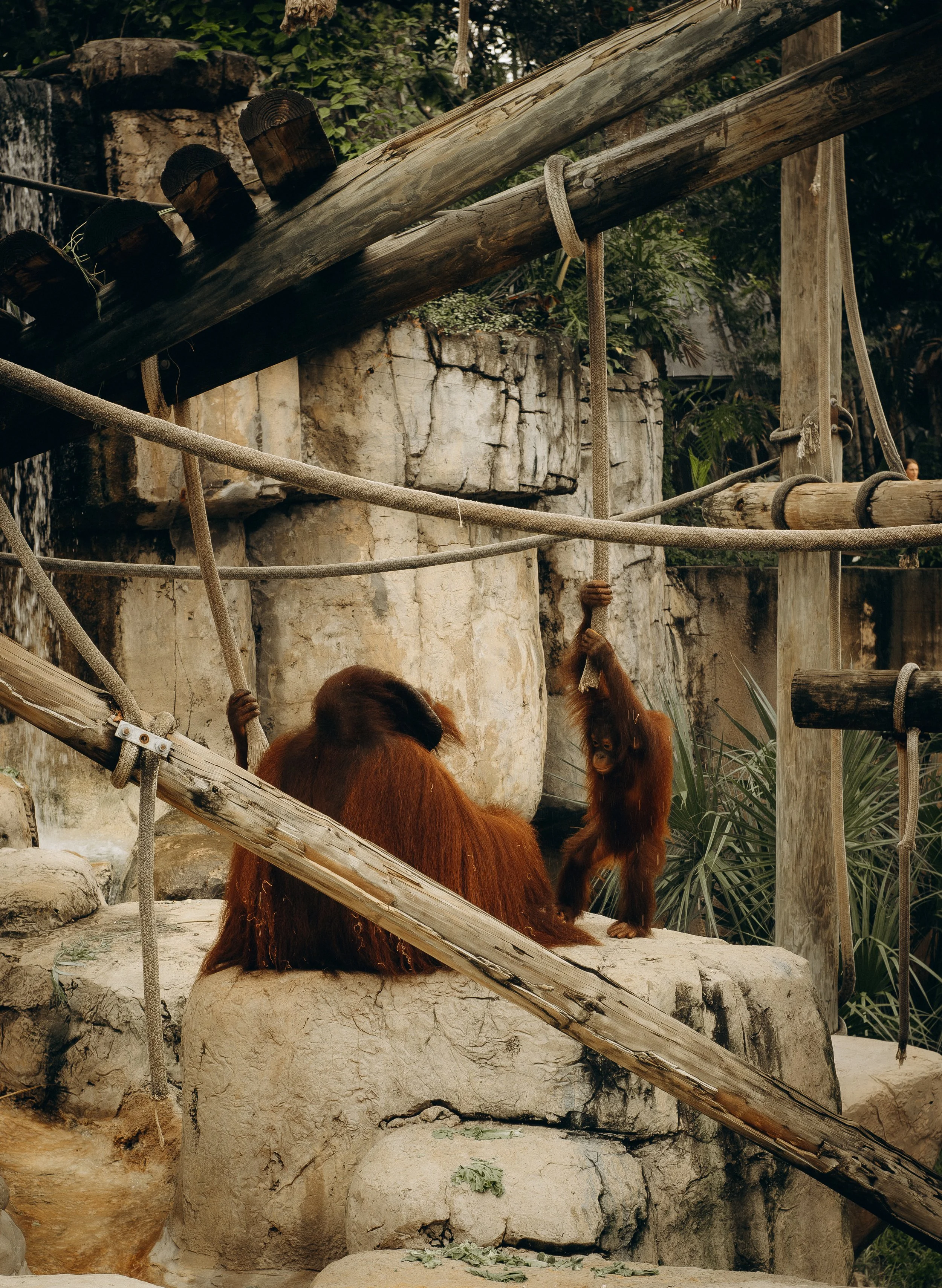 DSCF5088.jpg