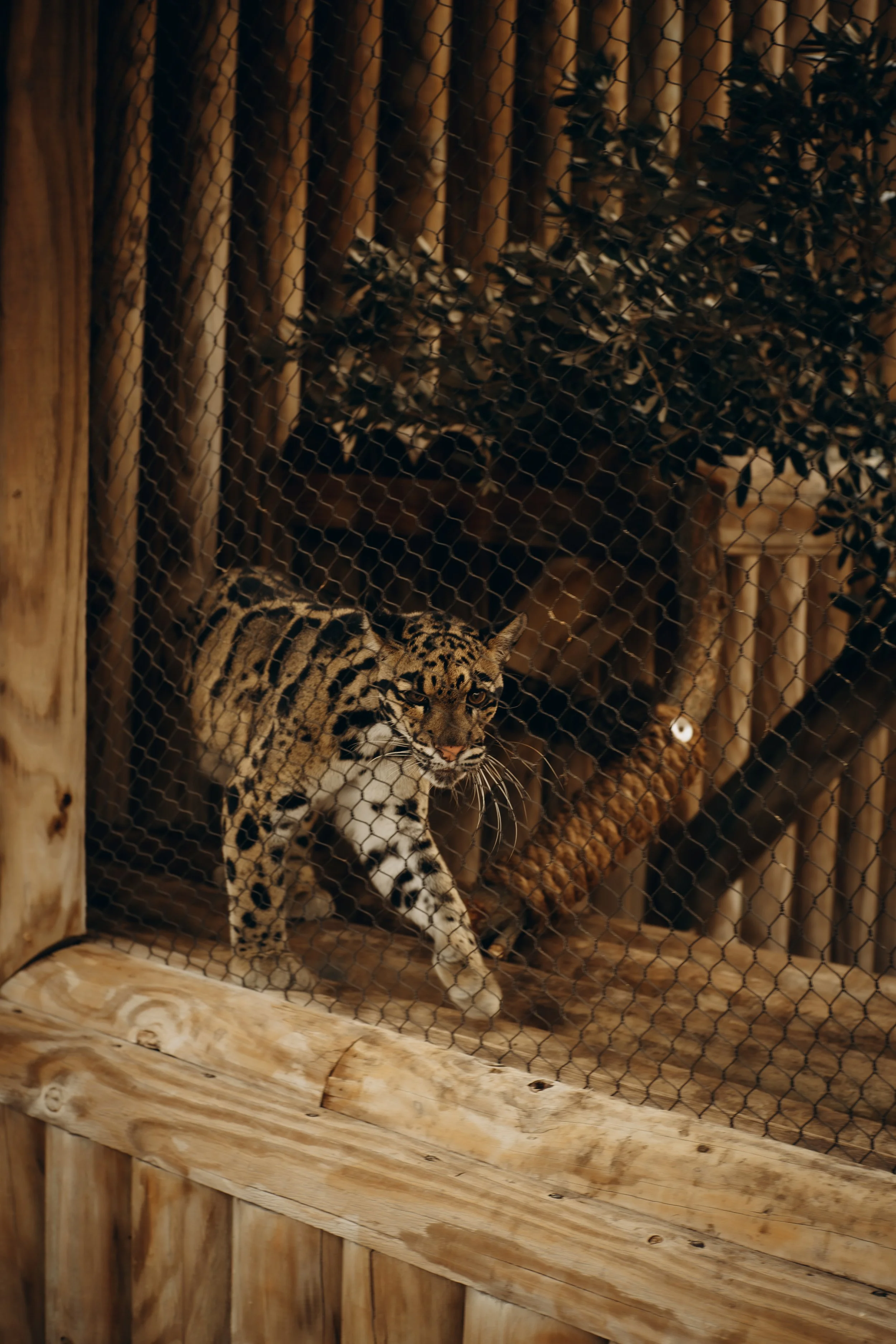 DSCF5116.jpg