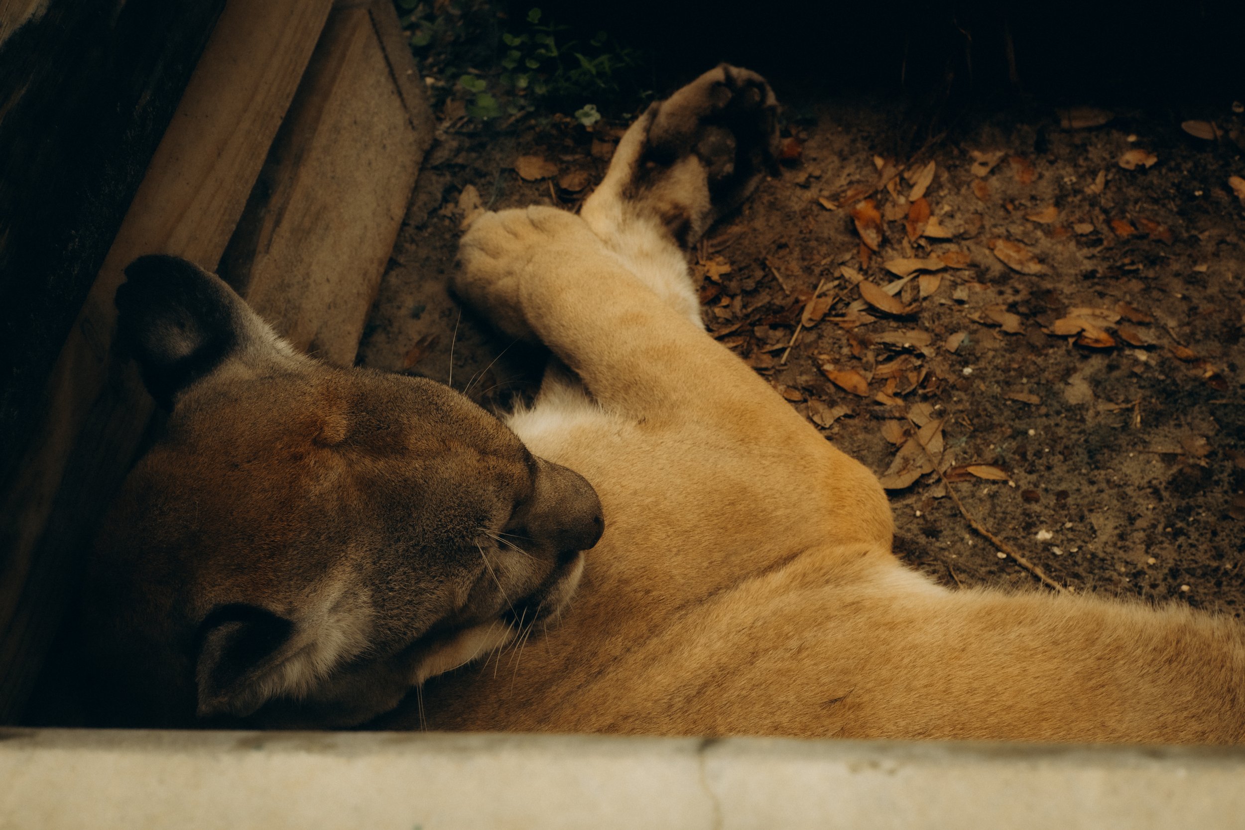 DSCF4964.jpg