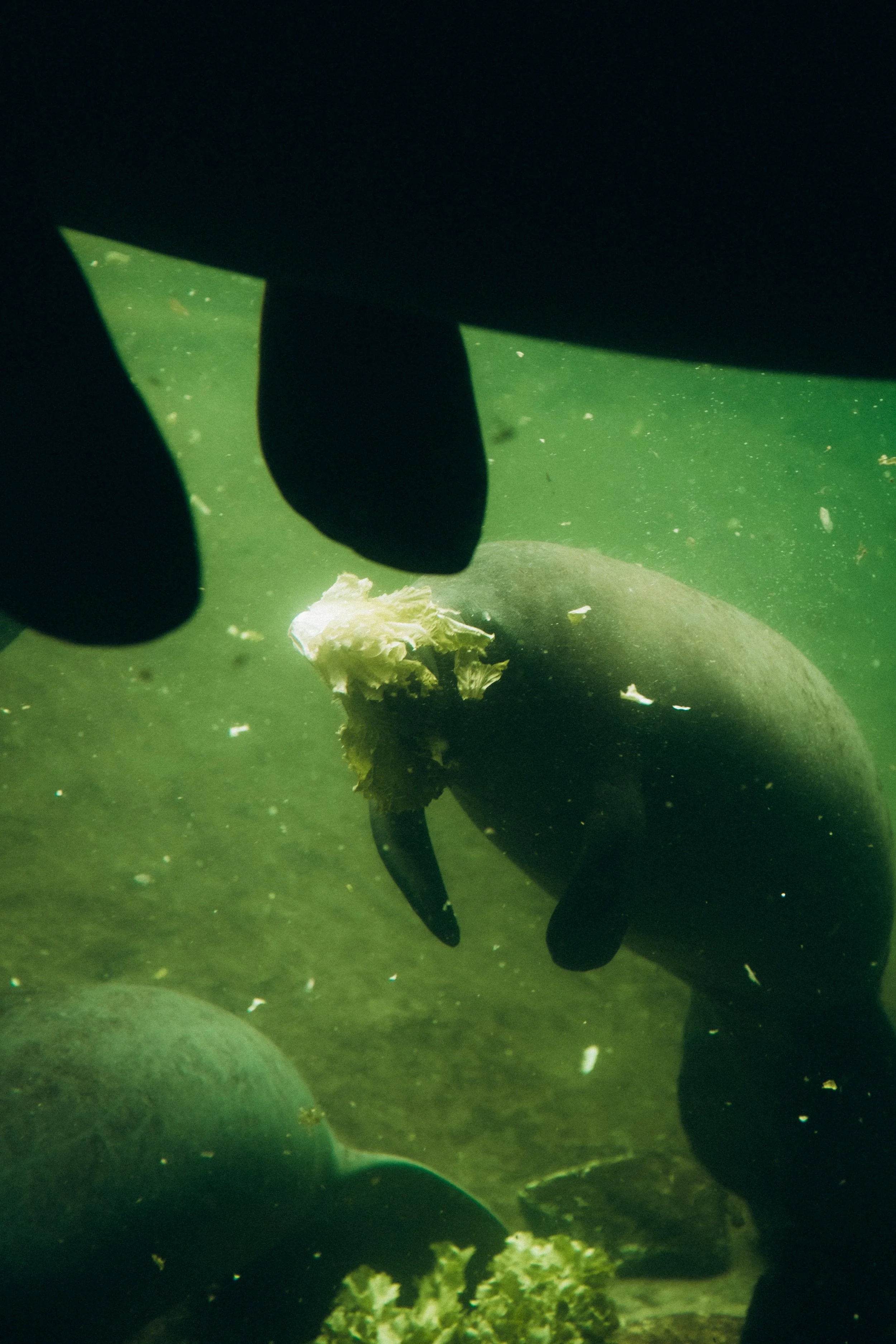 DSCF5390.jpg