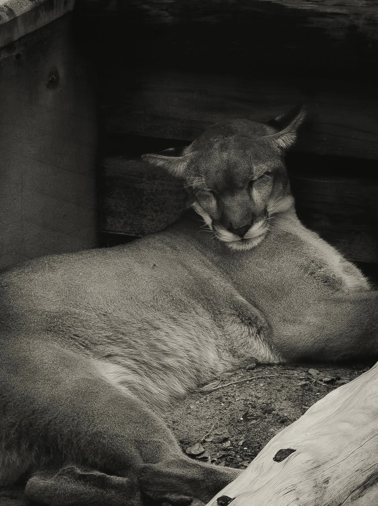 DSCF4972.jpg
