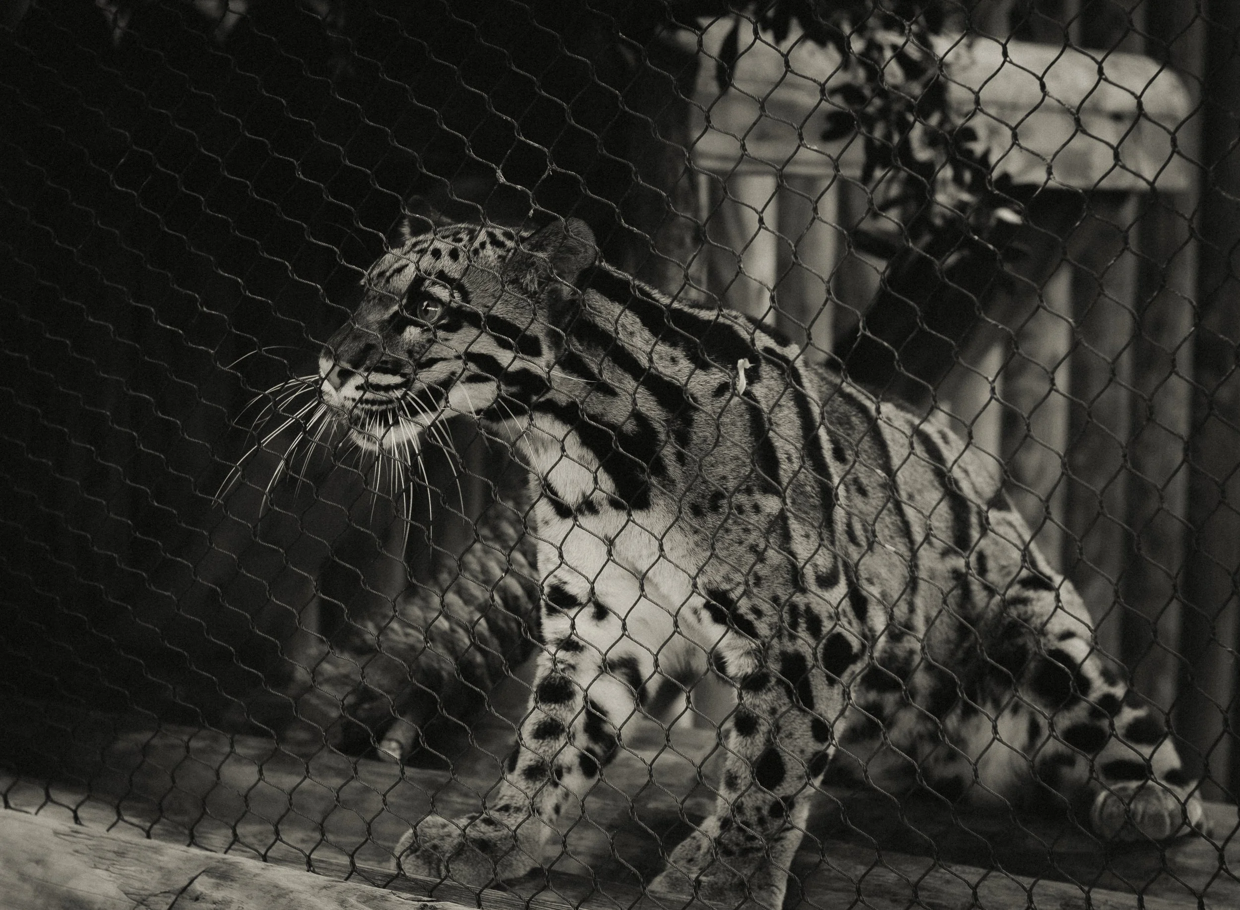 DSCF5124-2.jpg
