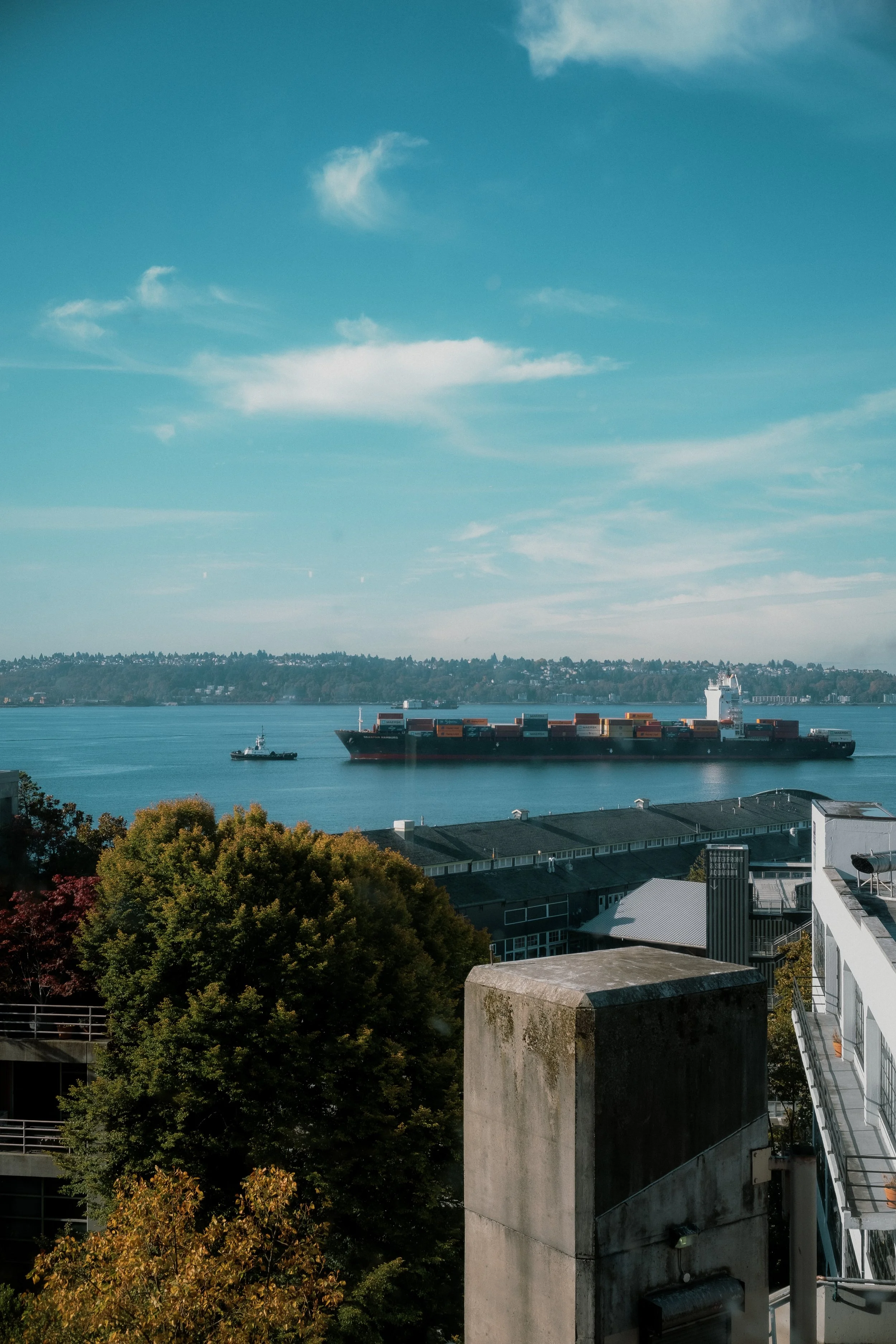 DSCF8396.jpg