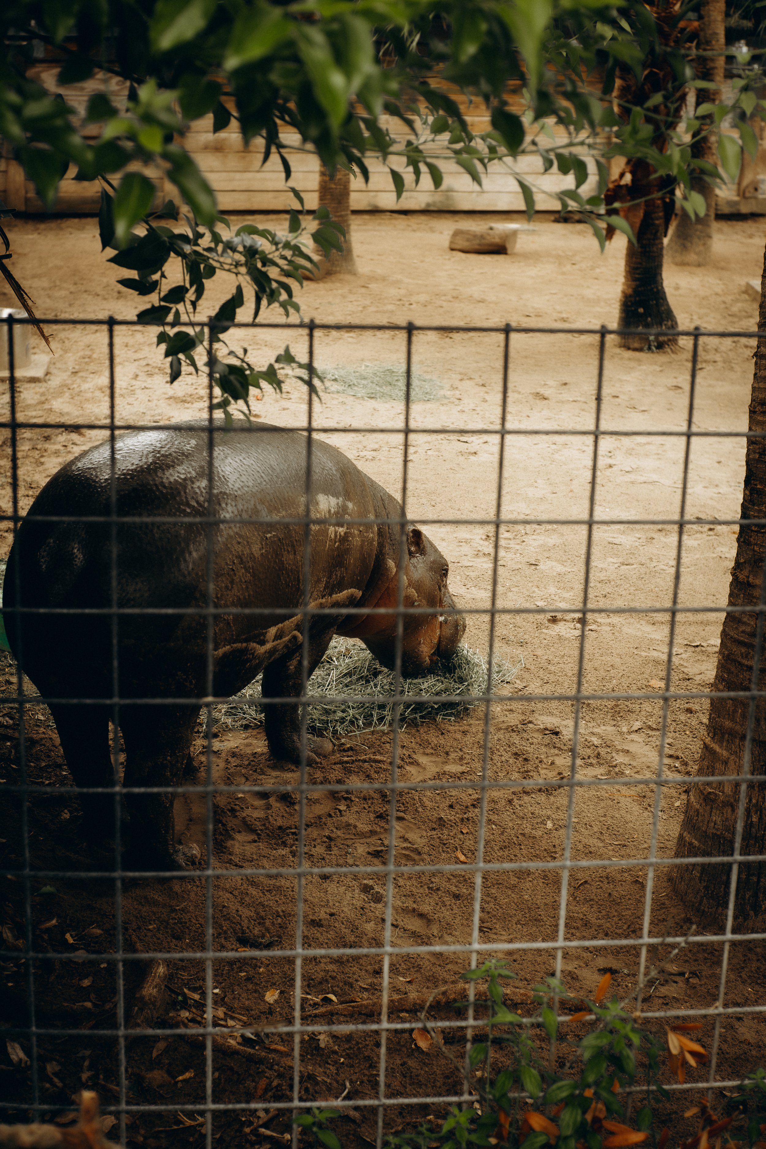 DSCF5009.jpg