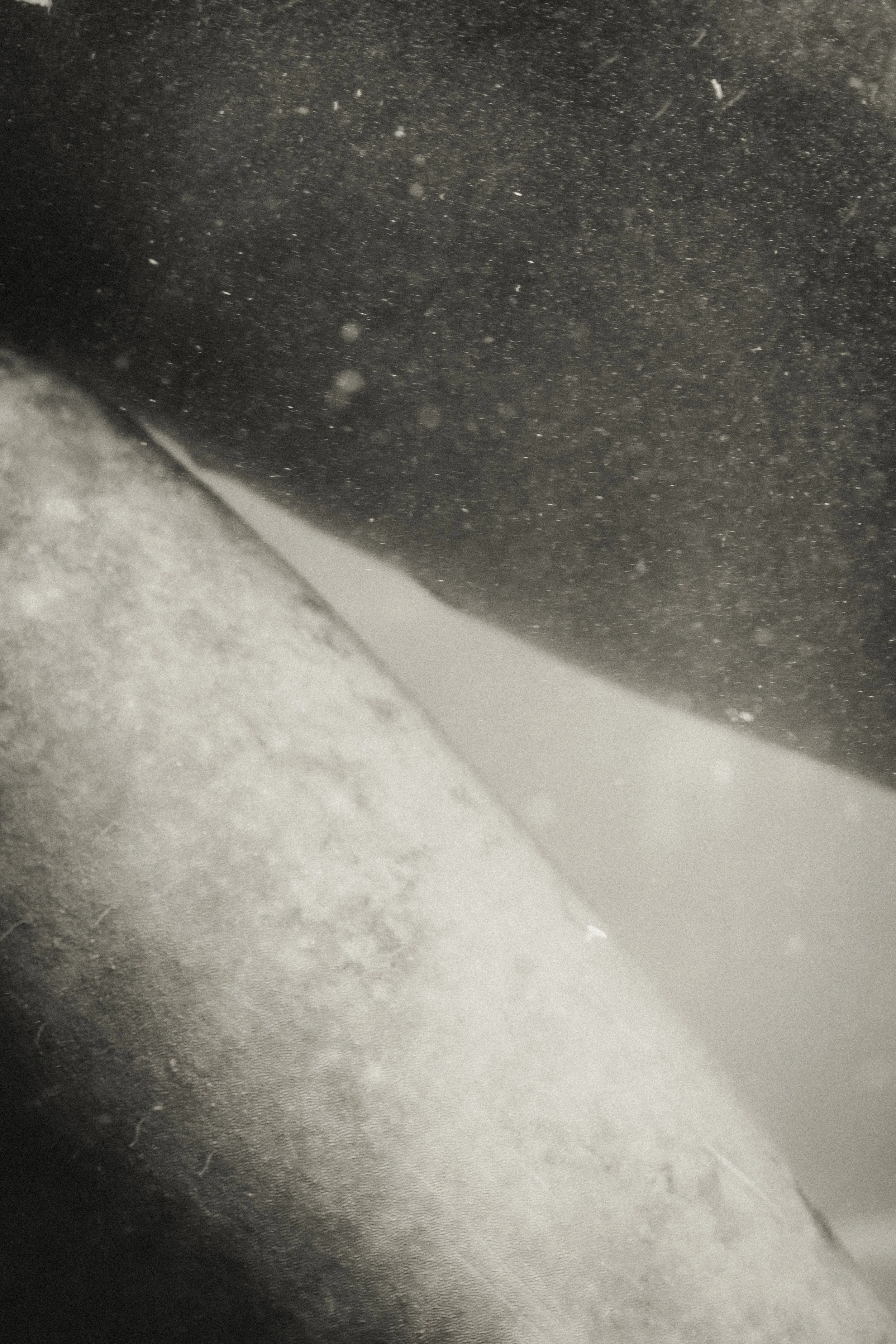 DSCF4778.jpg
