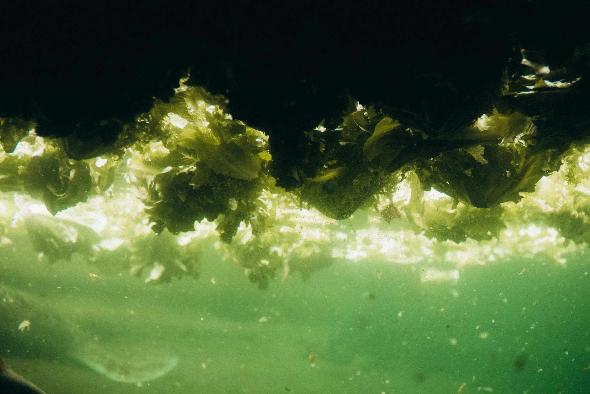 DSCF5380.jpg