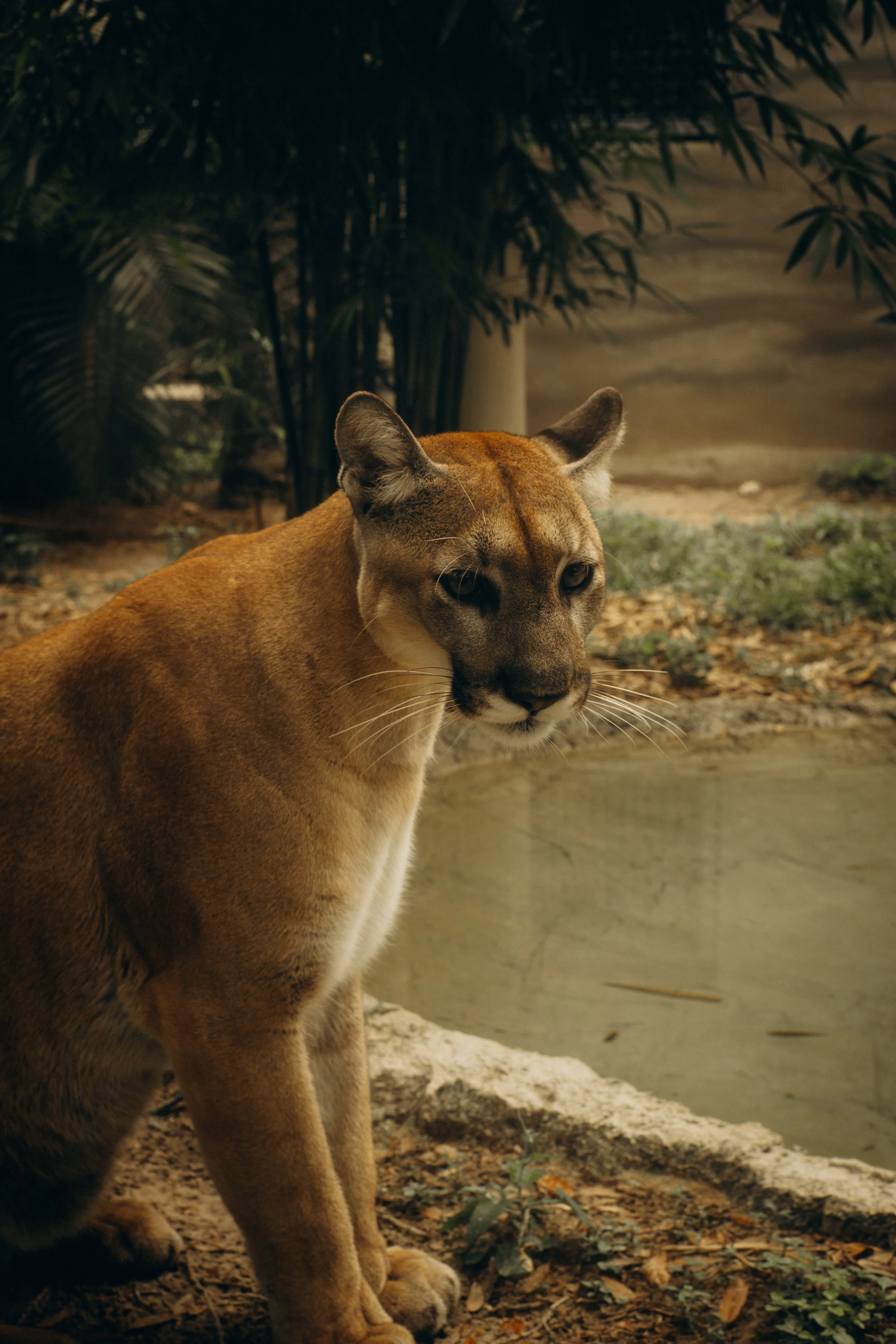 DSCF5437.jpg