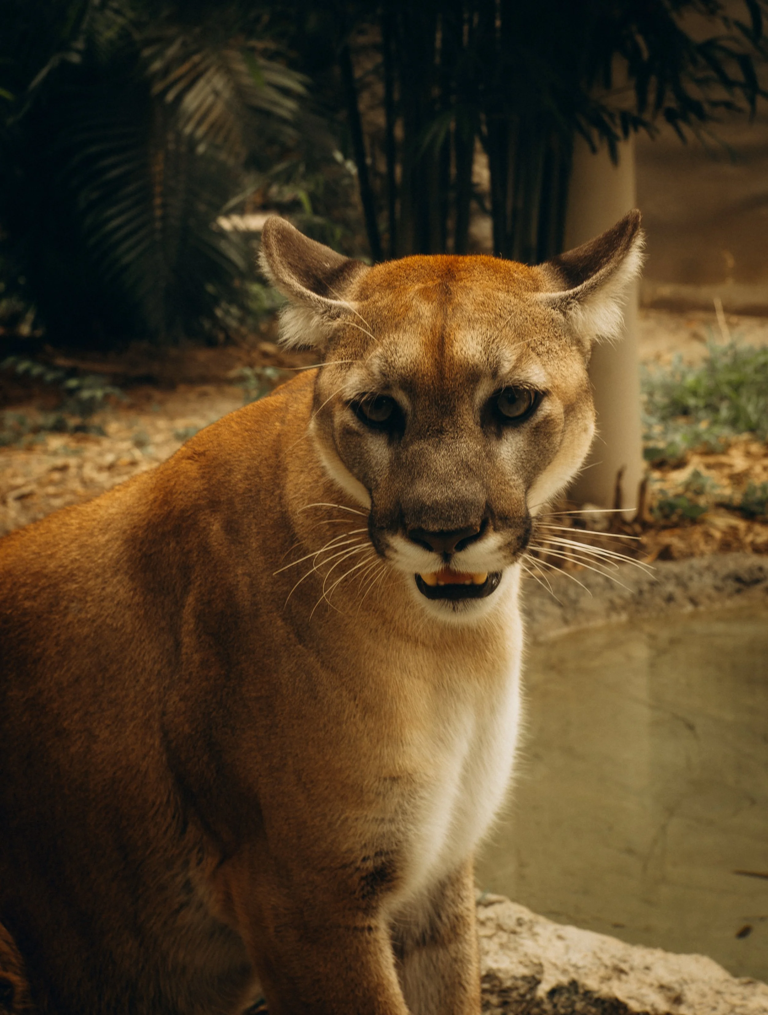 DSCF5448.jpg