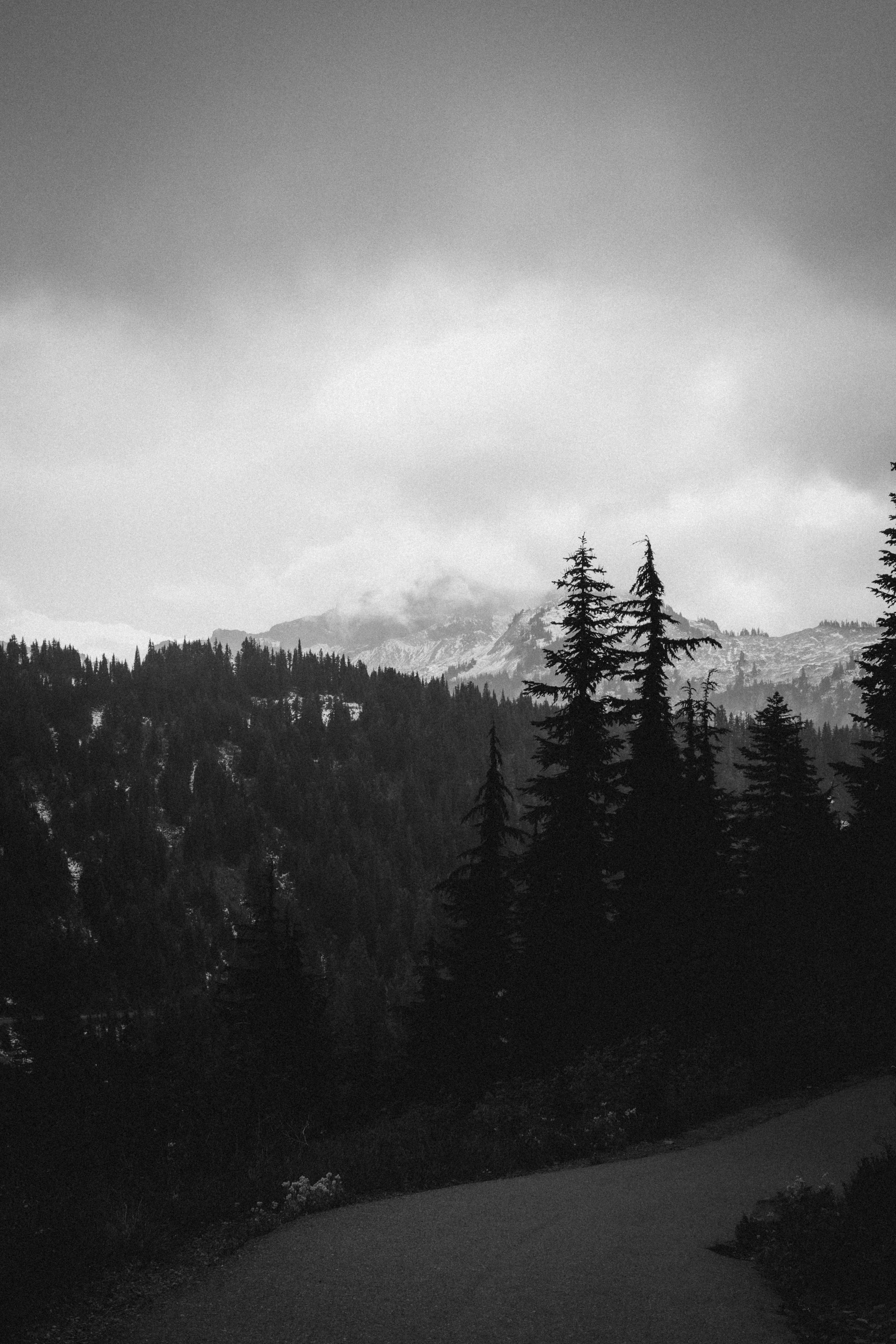 IMG_6006.jpg