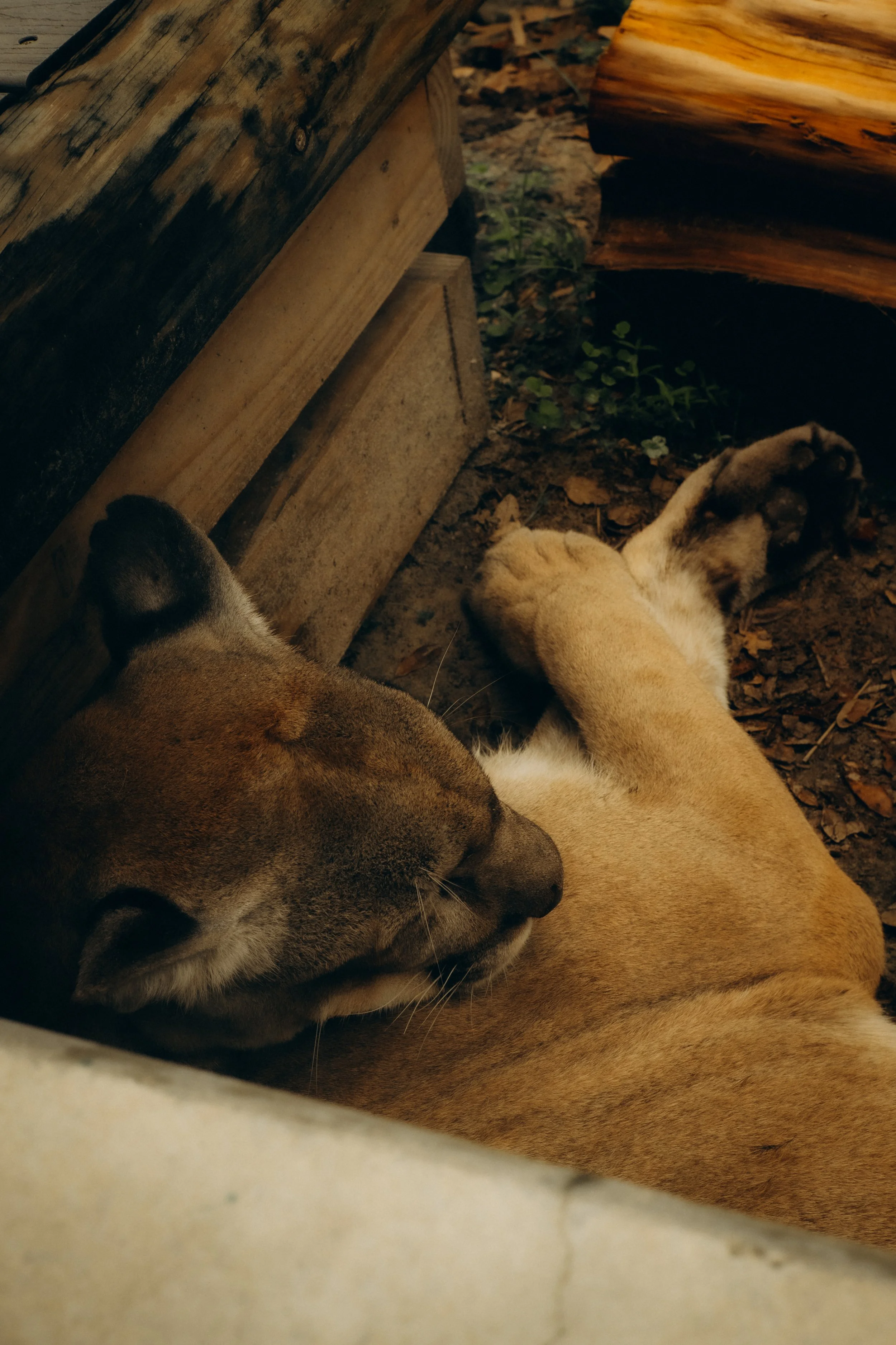 DSCF4966.jpg