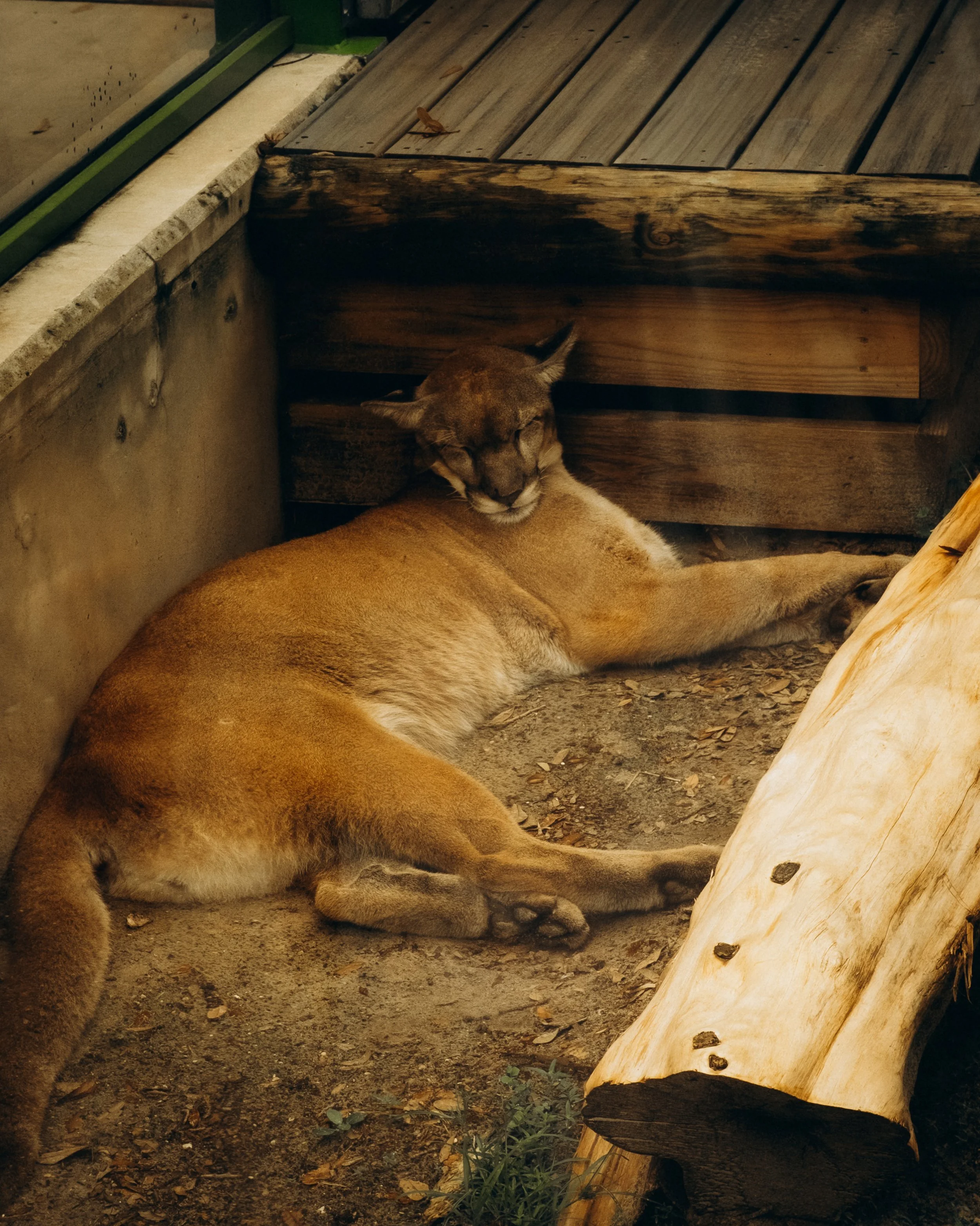 DSCF4970.jpg